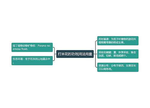 打米花的功效|用法用量