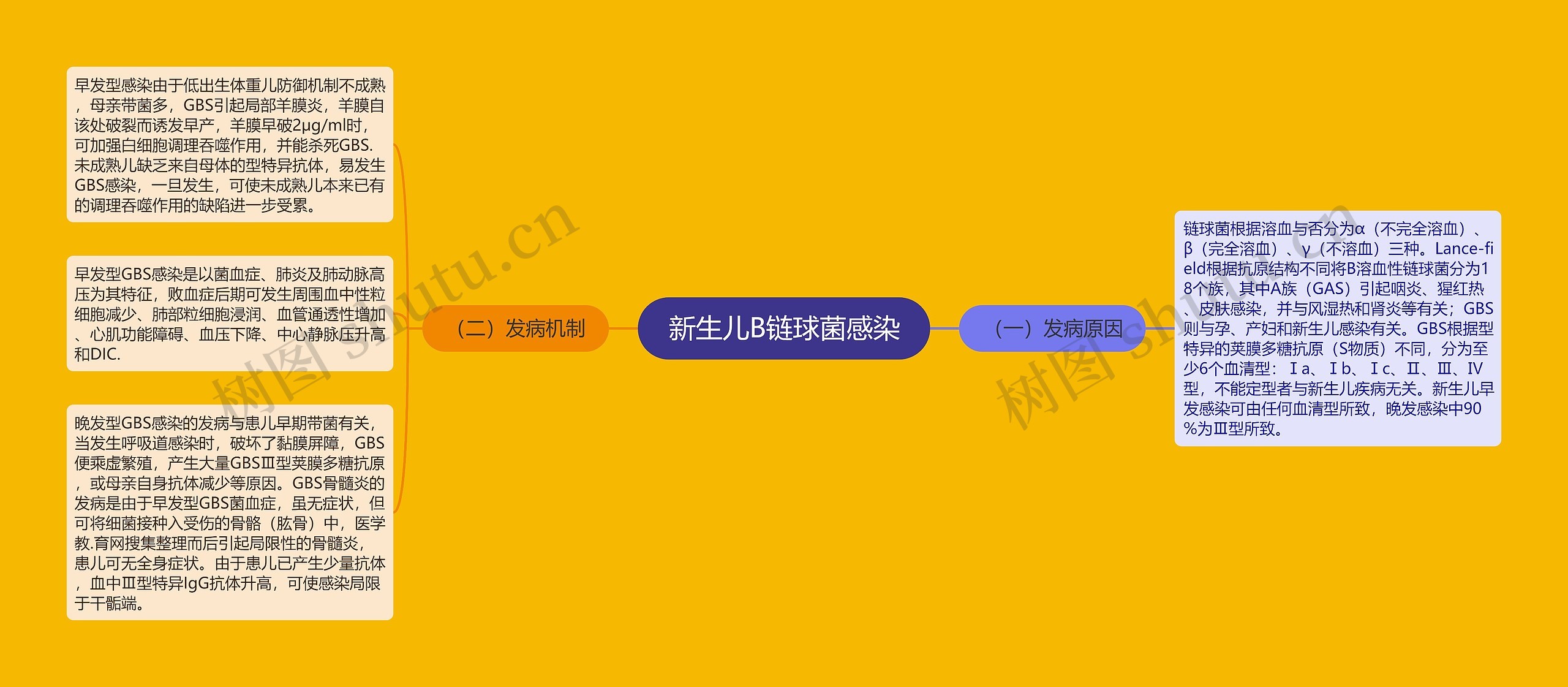 新生儿B链球菌感染 新生儿B链球菌感染