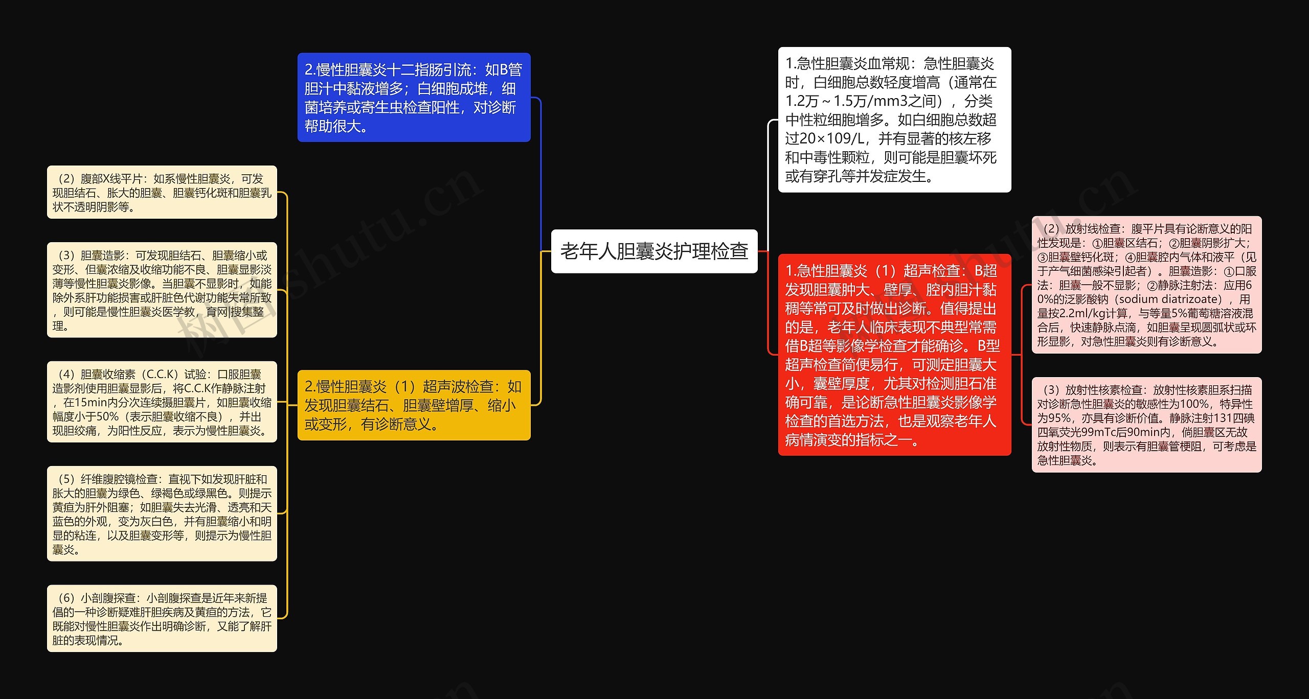 老年人胆囊炎护理检查思维导图