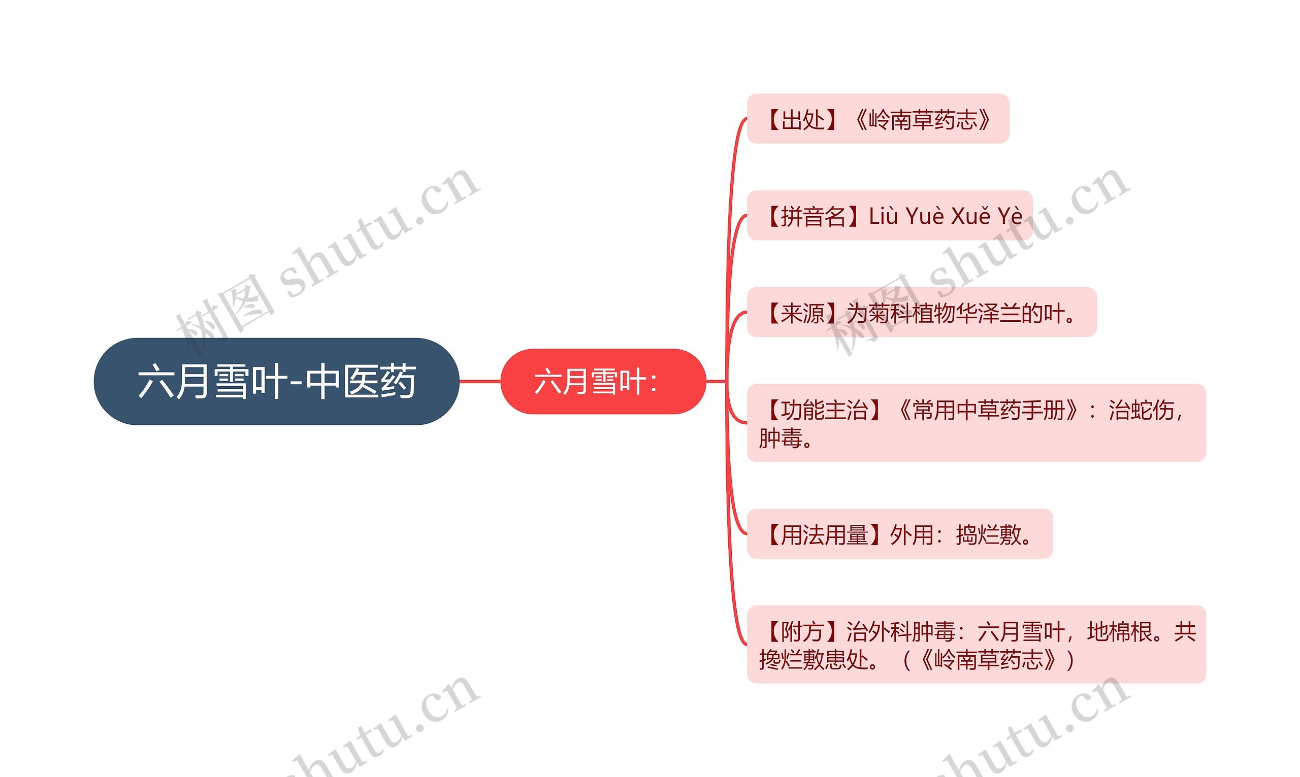 六月雪叶-中医药思维导图