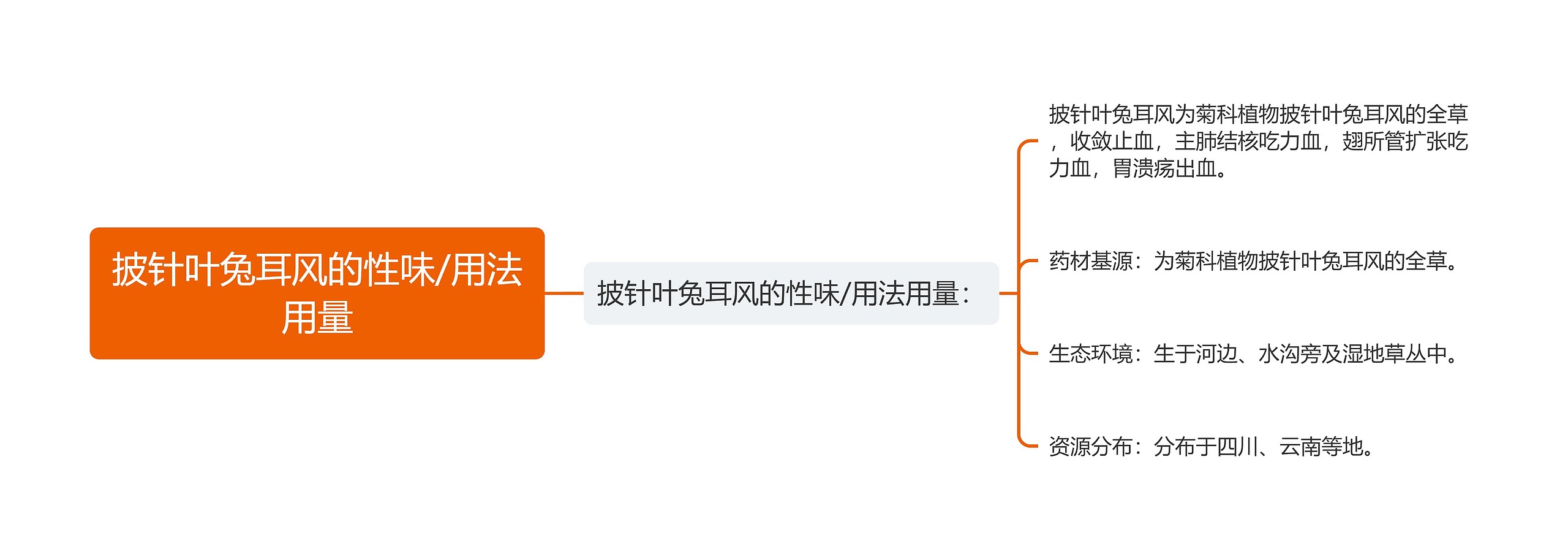 披针叶兔耳风的性味/用法用量思维导图