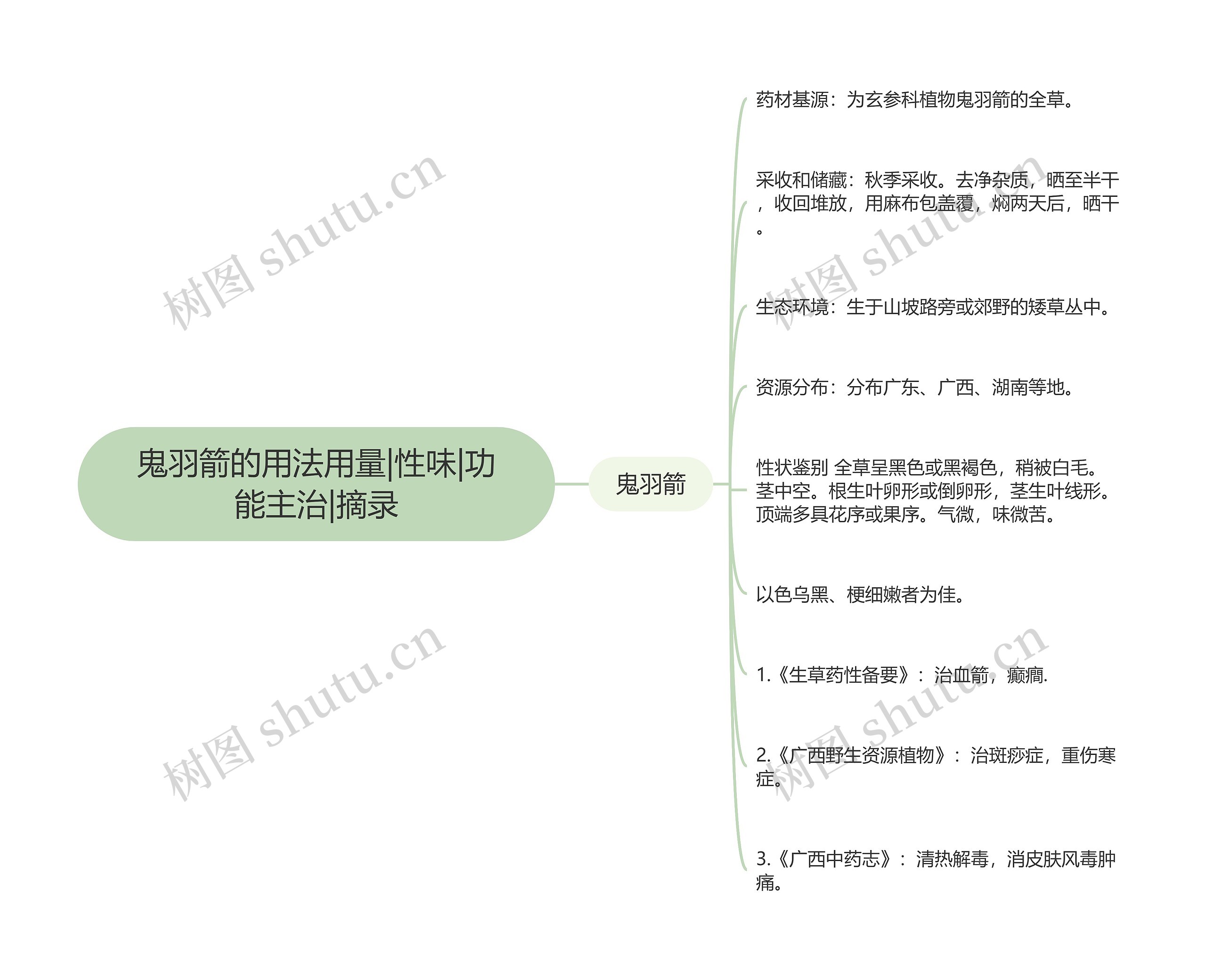 鬼羽箭的用法用量|性味|功能主治|摘录思维导图