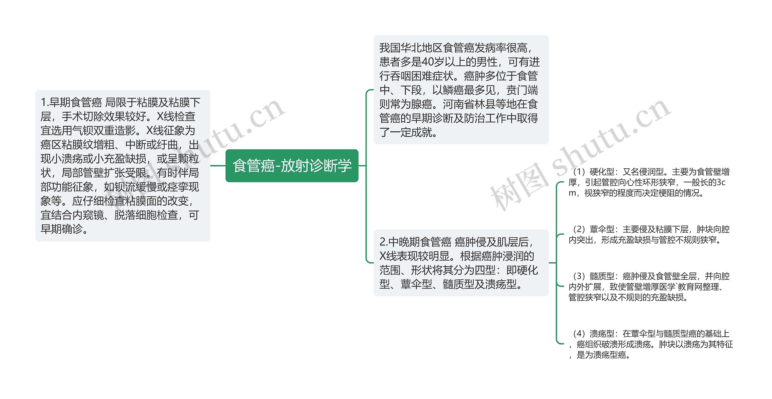 食管癌-放射诊断学