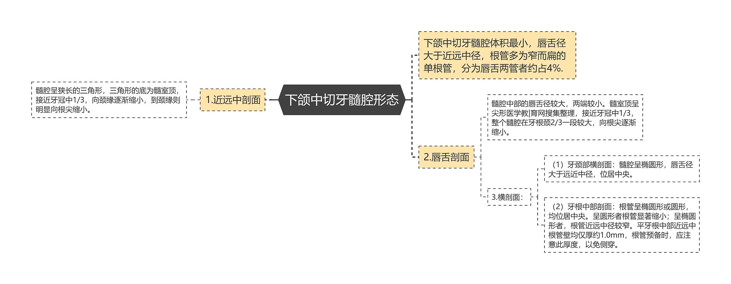 下颌中切牙髓腔形态思维导图