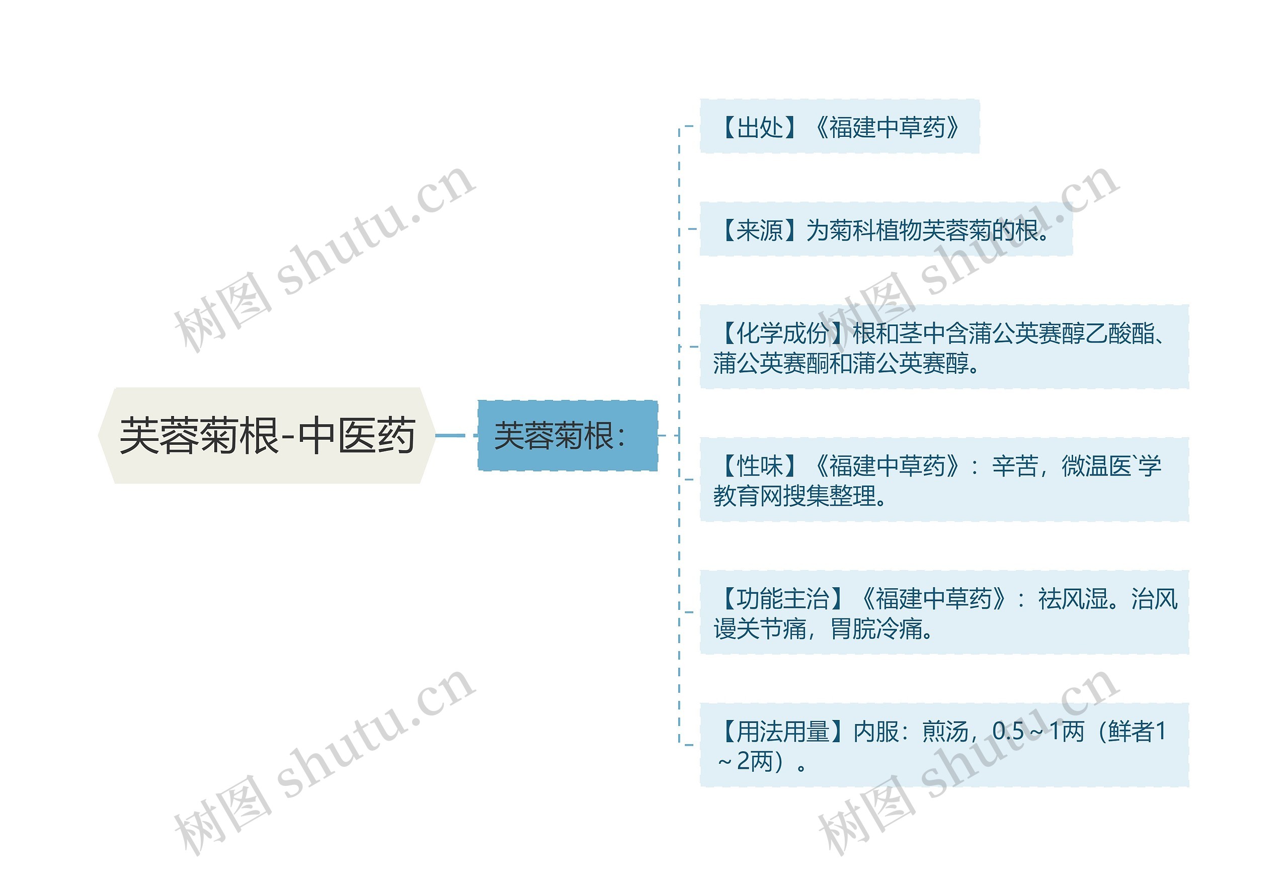 芙蓉菊根-中医药 芙蓉菊根-中医药