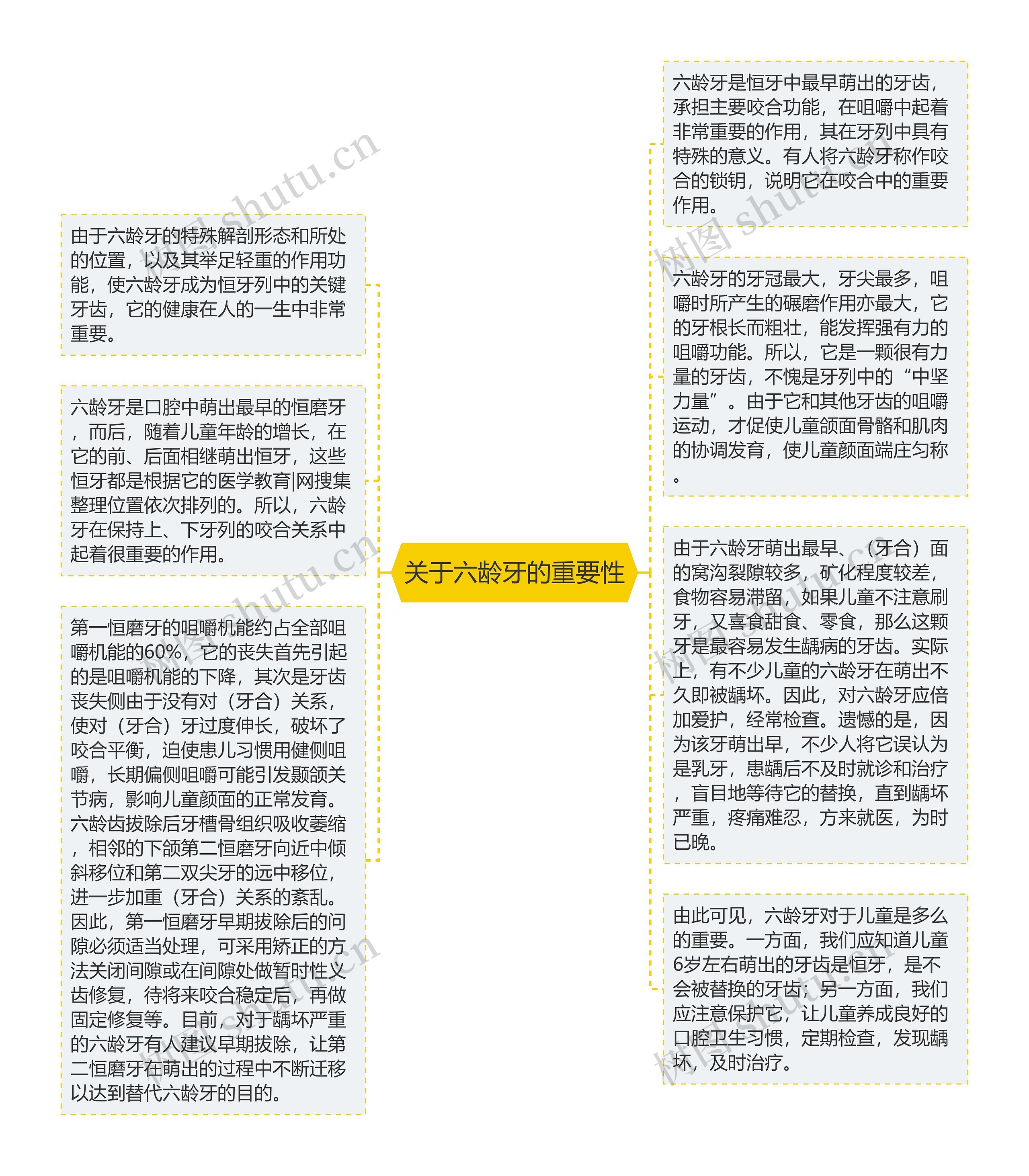 关于六龄牙的重要性思维导图