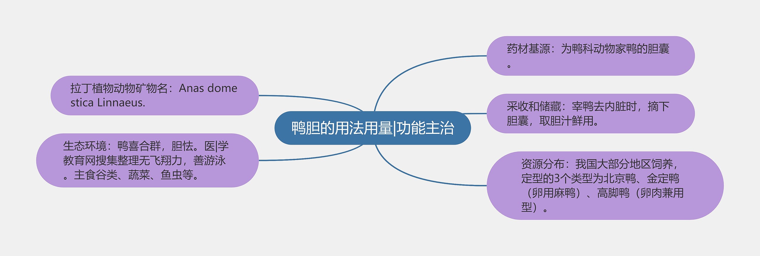 鸭胆的用法用量|功能主治思维导图