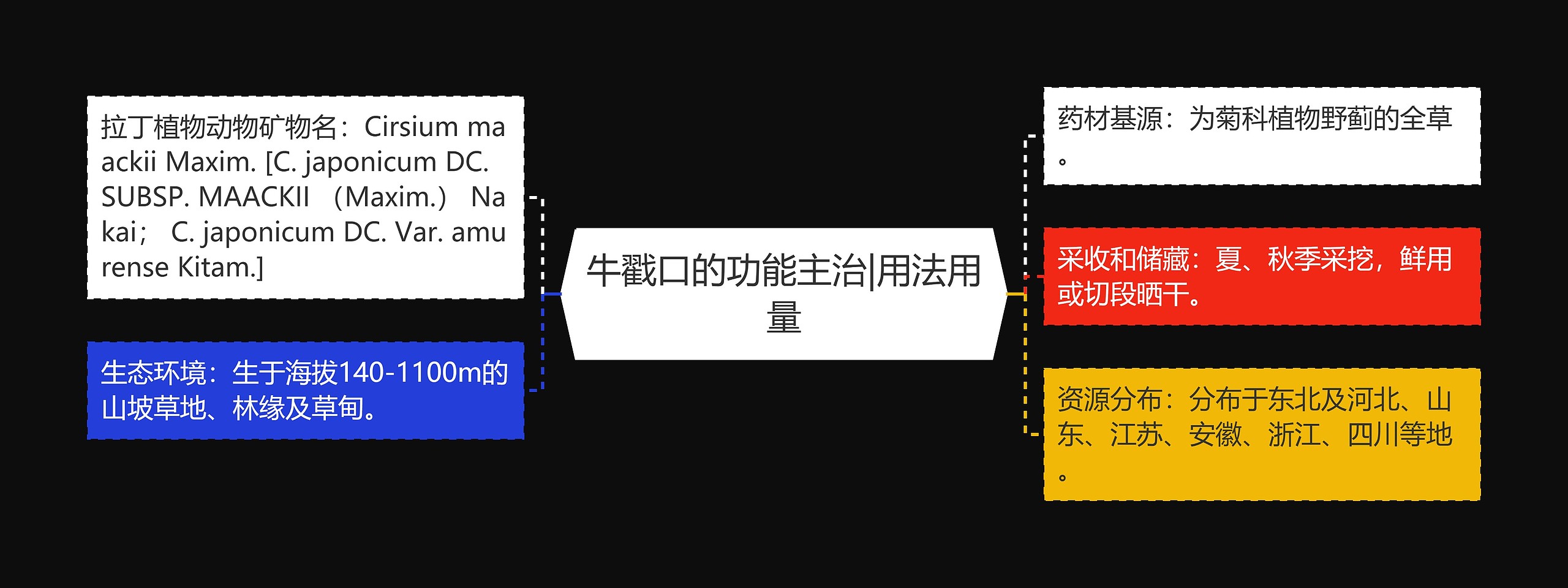 牛戳口的功能主治|用法用量思维导图