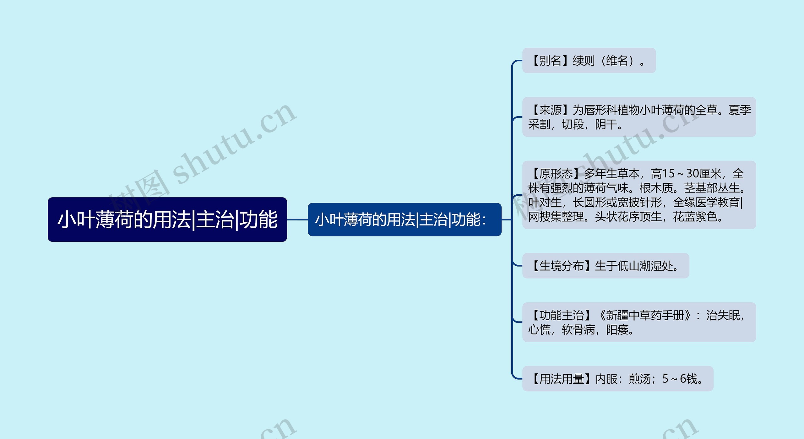 小叶薄荷的用法|主治|功能