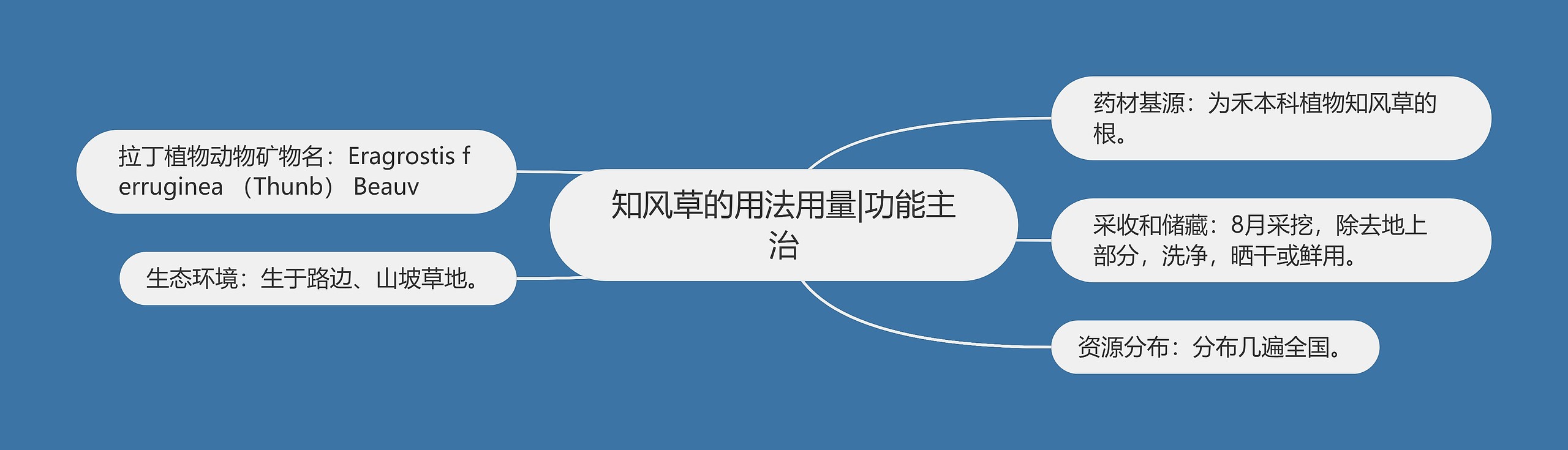 知风草的用法用量|功能主治 知风草的用法用量|功能主治