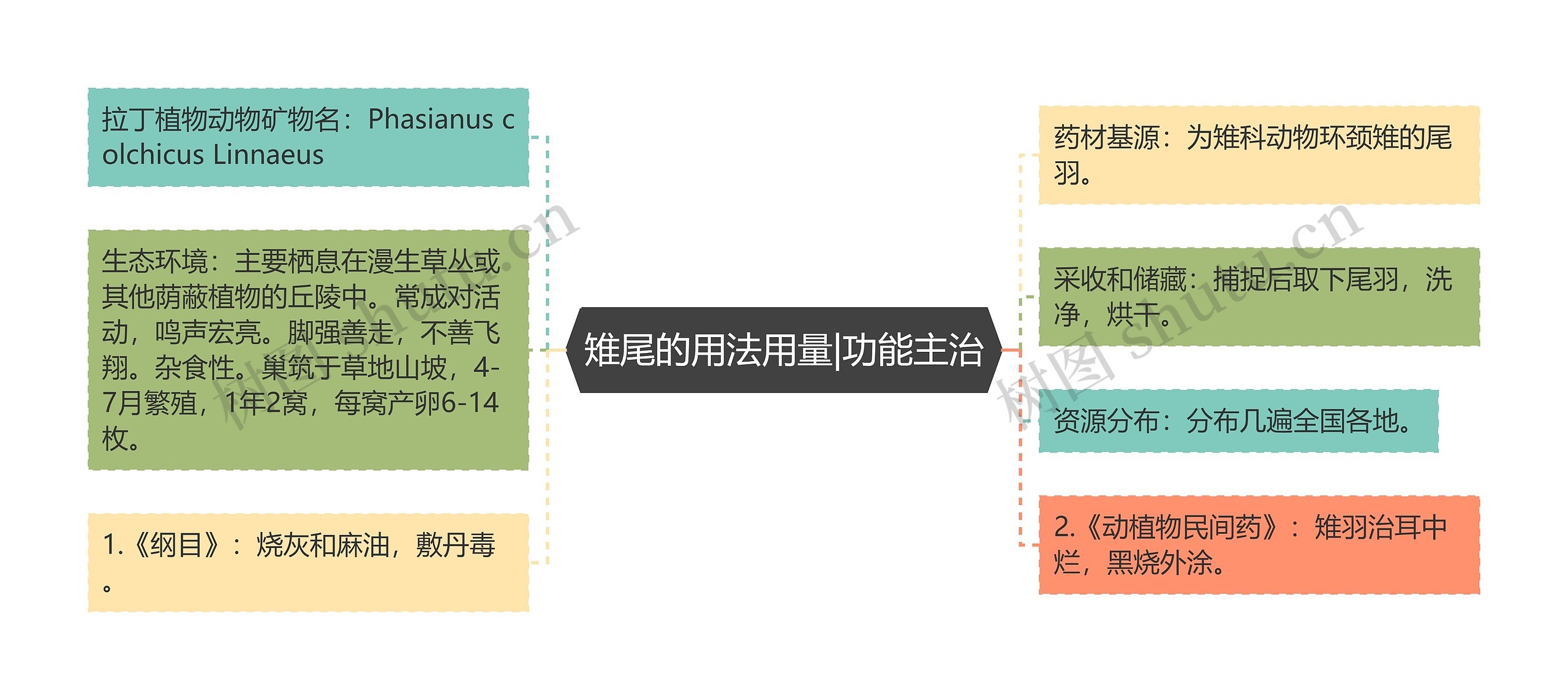 雉尾的用法用量|功能主治