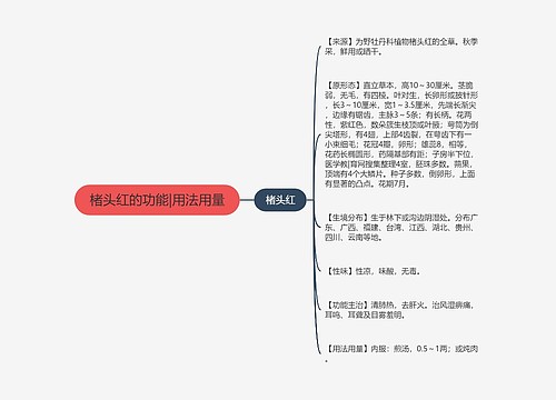 楮头红的功能|用法用量