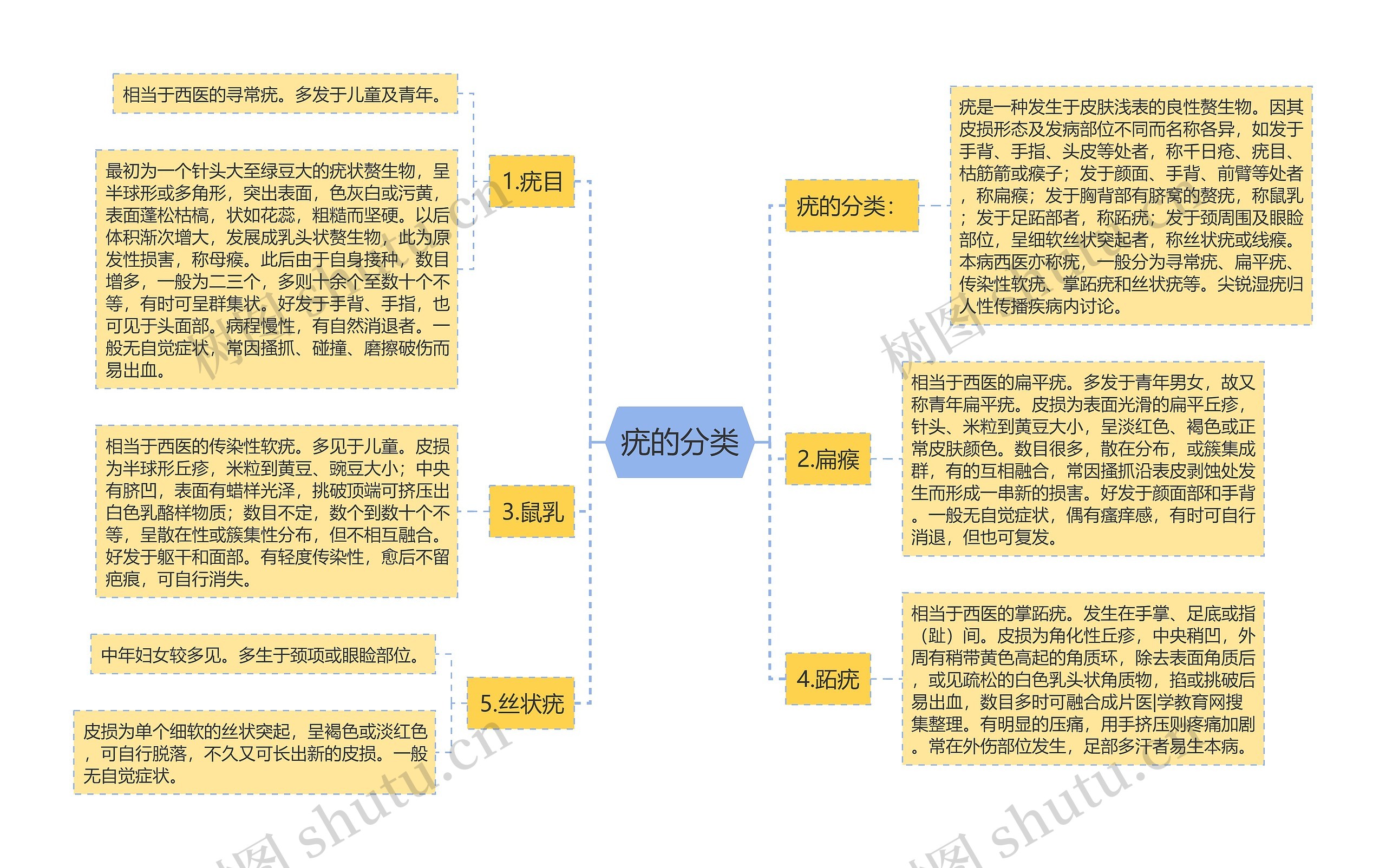 疣的分类思维导图