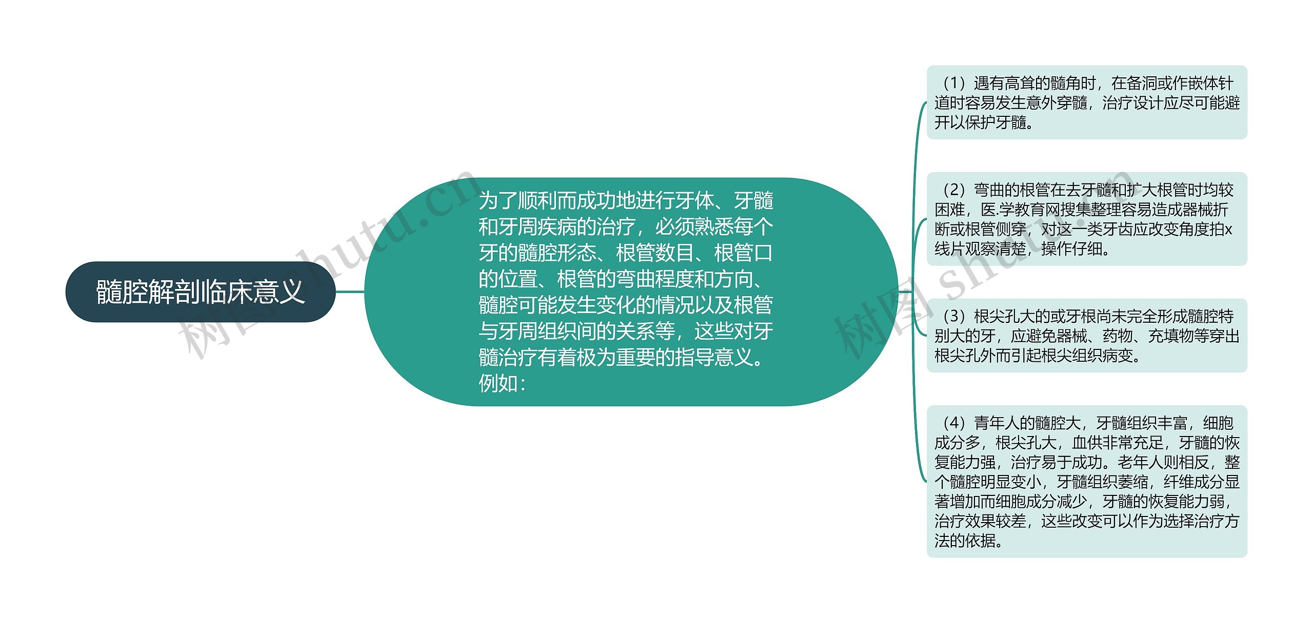 髓腔解剖临床意义