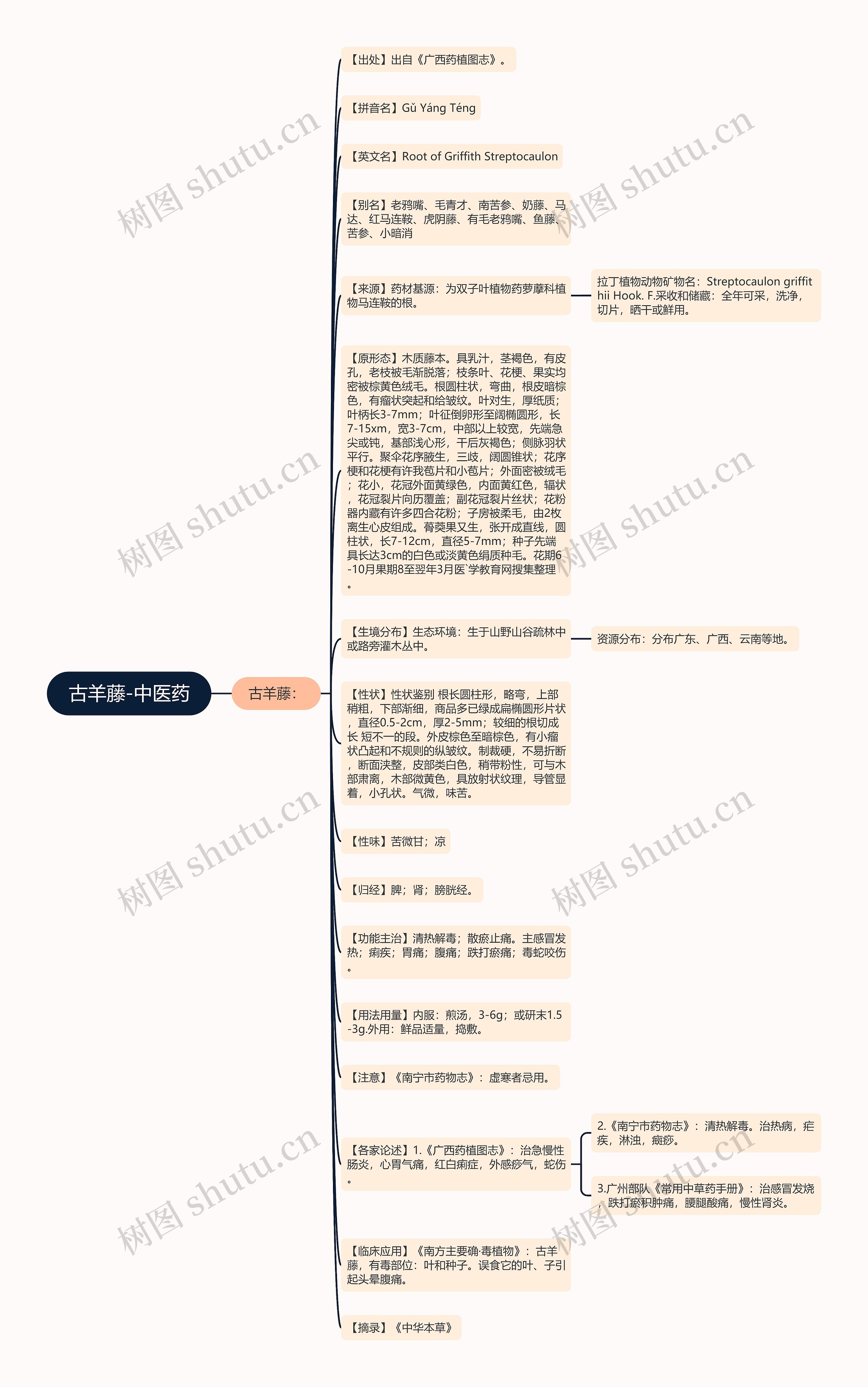 古羊藤-中医药思维导图