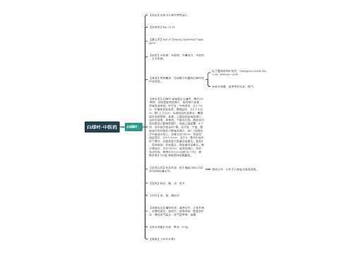 白绿叶-中医药