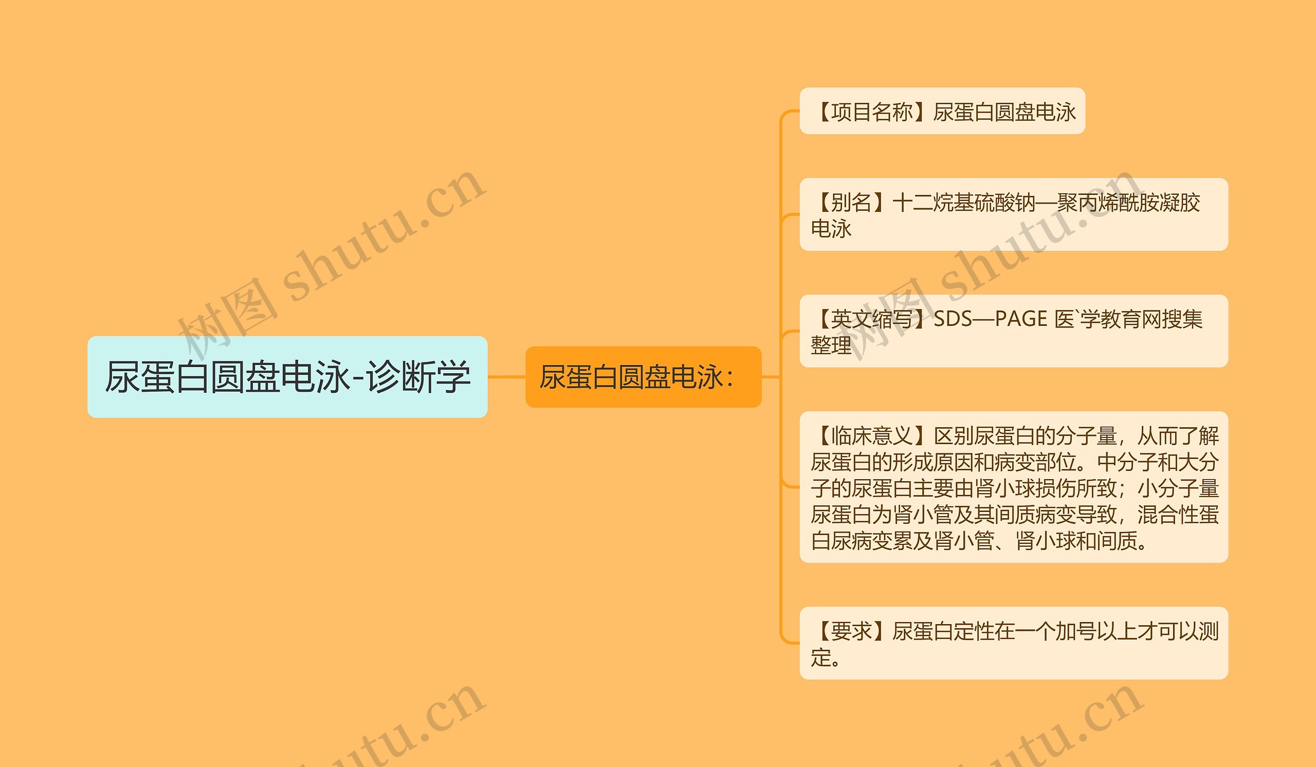 尿蛋白圆盘电泳-诊断学思维导图