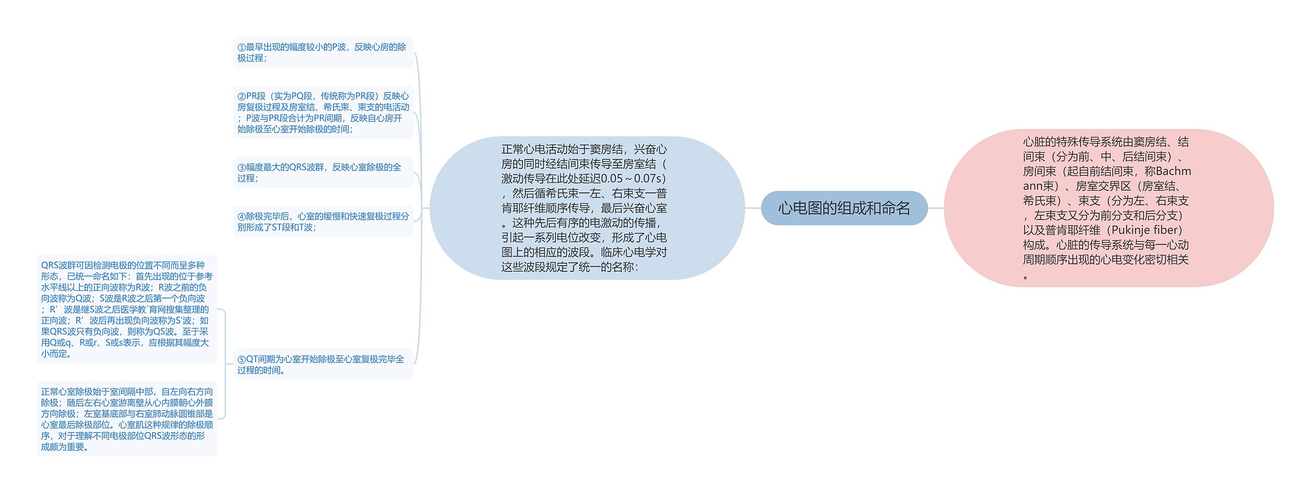 心电图的组成和命名 心电图的组成和命名