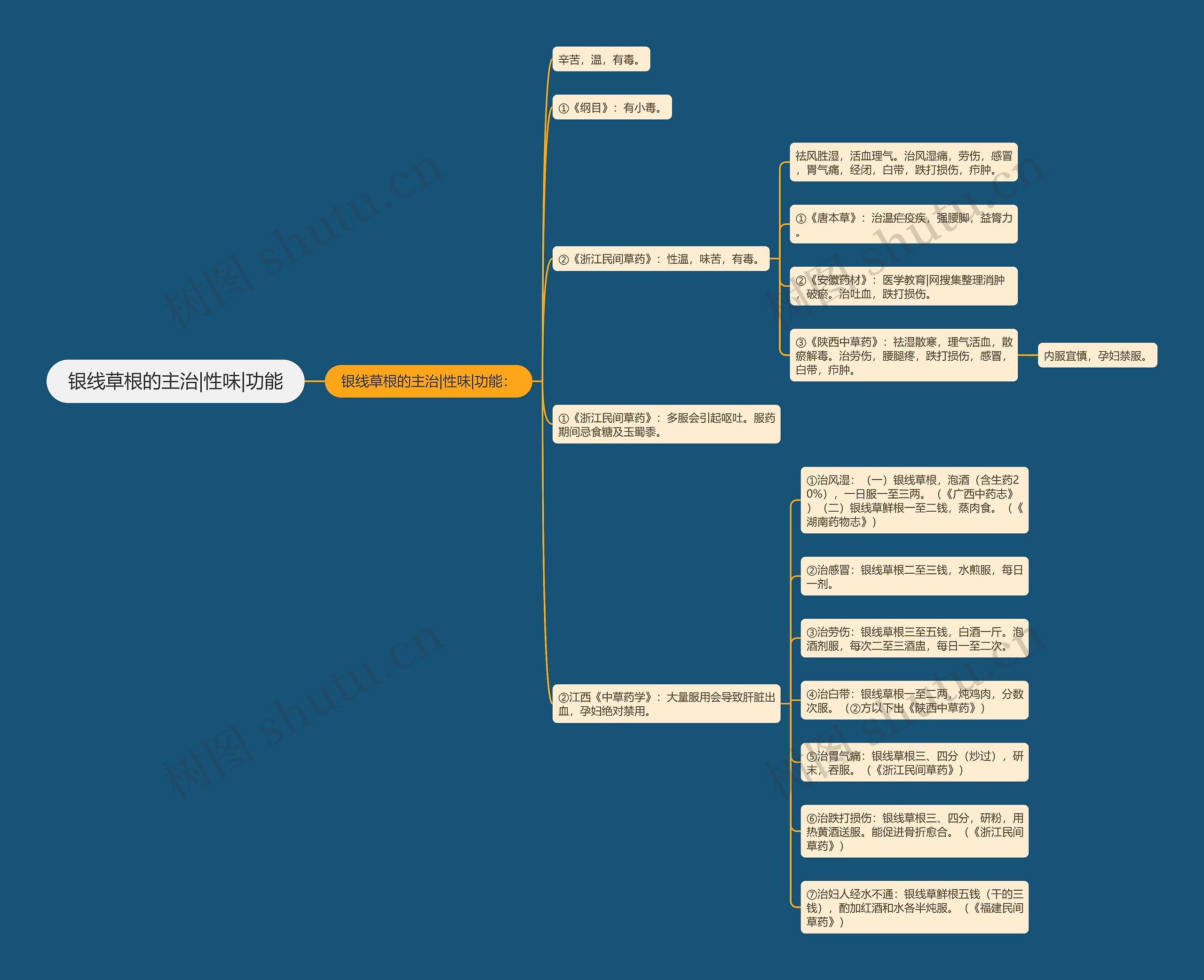 银线草根的主治|性味|功能思维导图