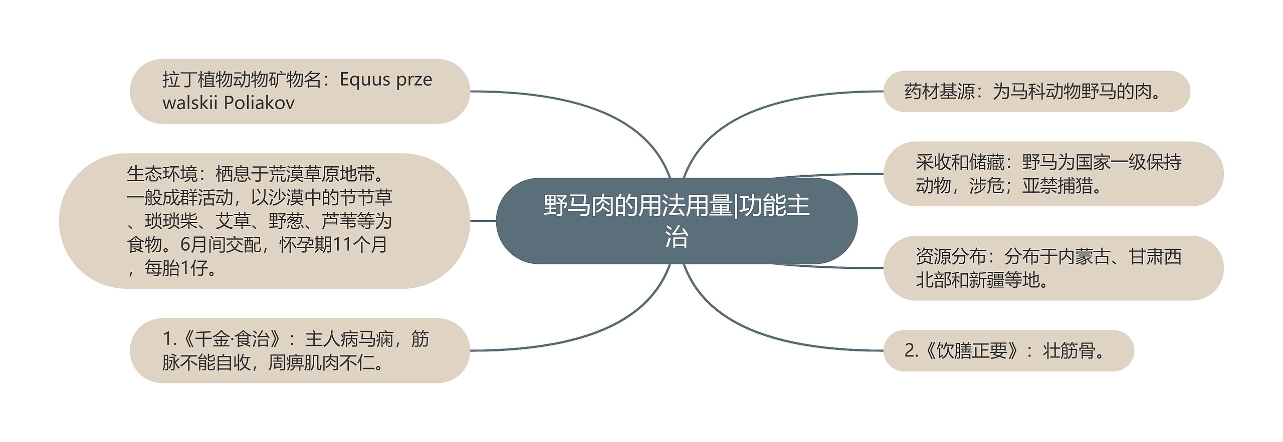 野马肉的用法用量|功能主治思维导图