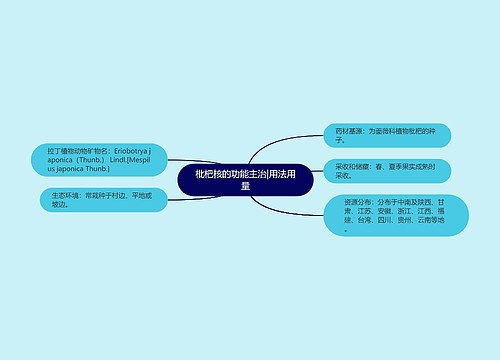 枇杷核的功能主治|用法用量