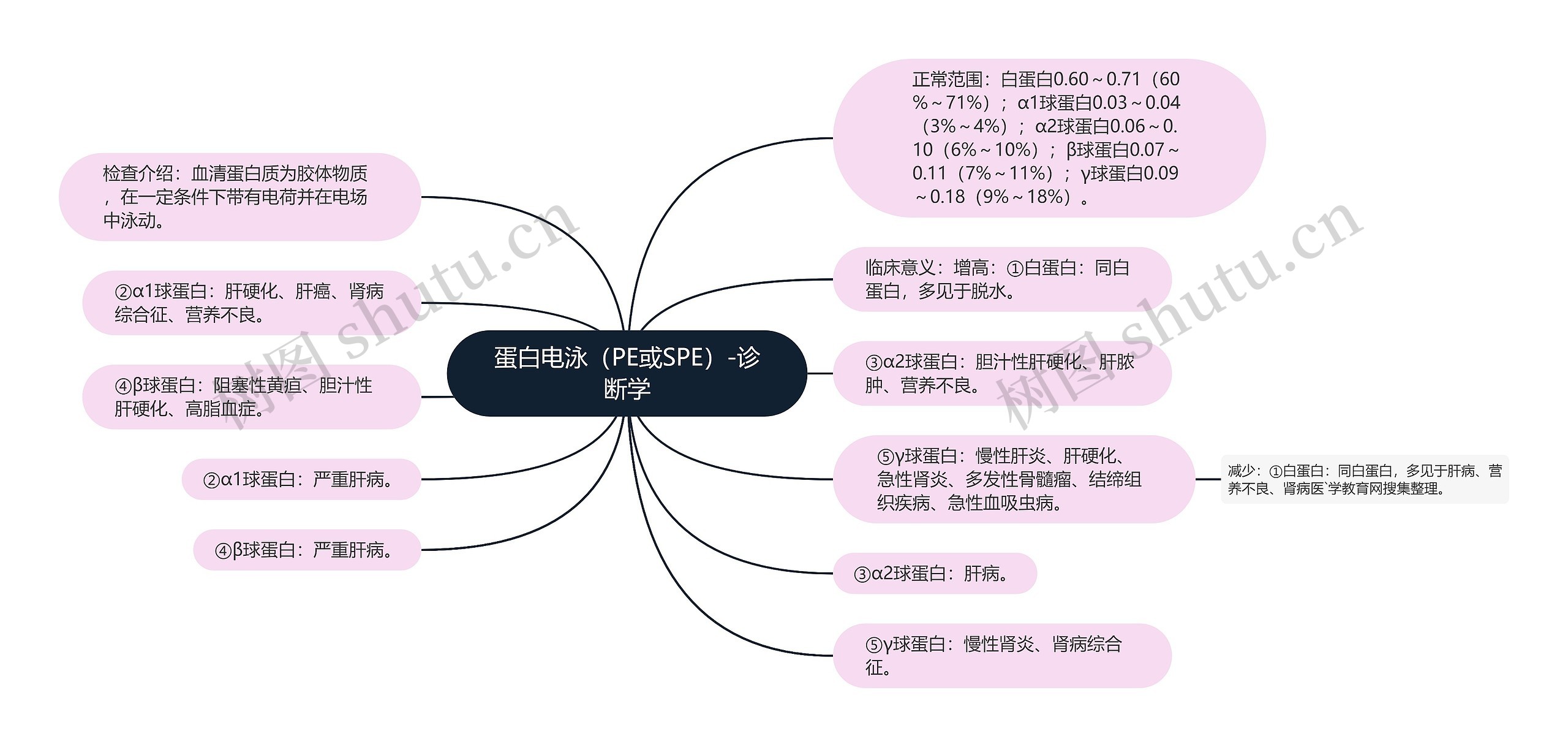 蛋白电泳（PE或SPE）-诊断学思维导图