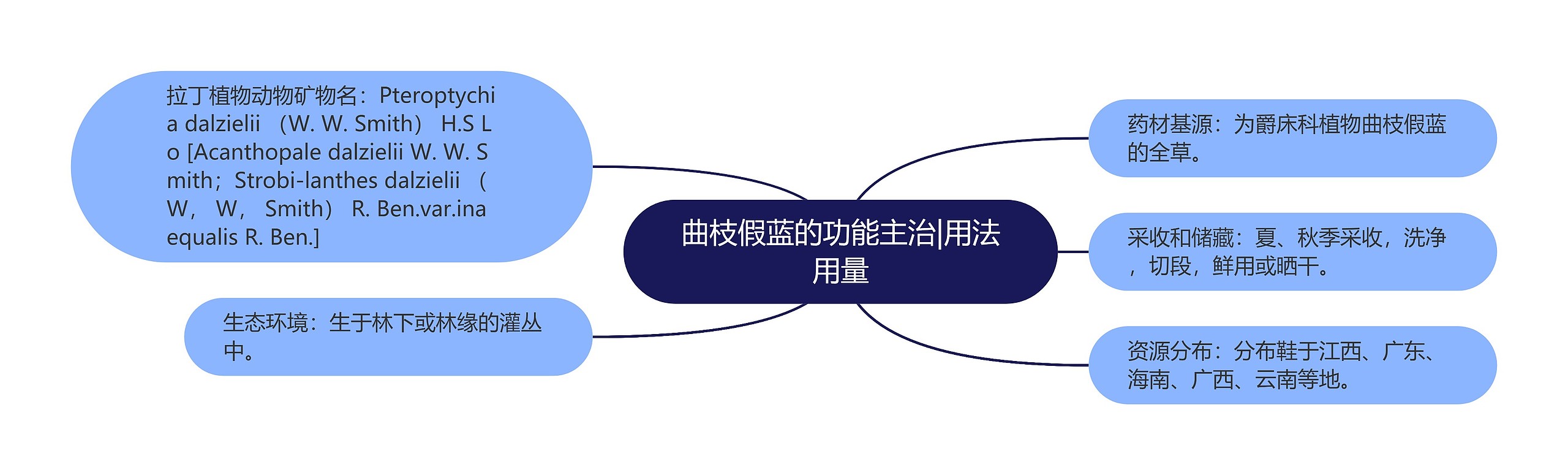 曲枝假蓝的功能主治|用法用量 曲枝假蓝的功能主治|用法用量