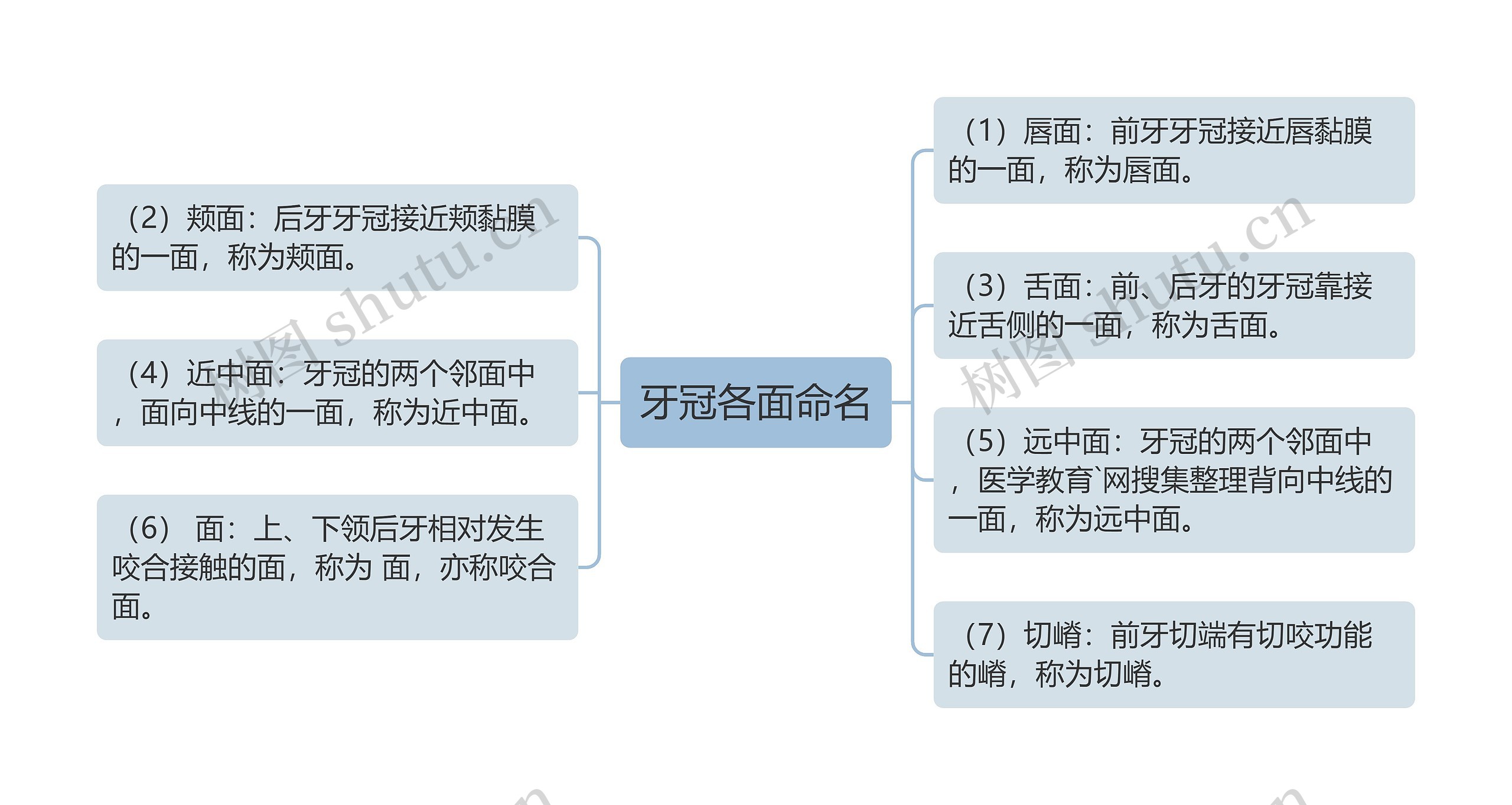 牙冠各面命名