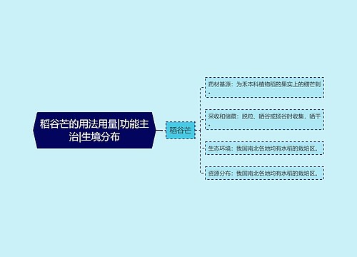 稻谷芒的用法用量|功能主治|生境分布