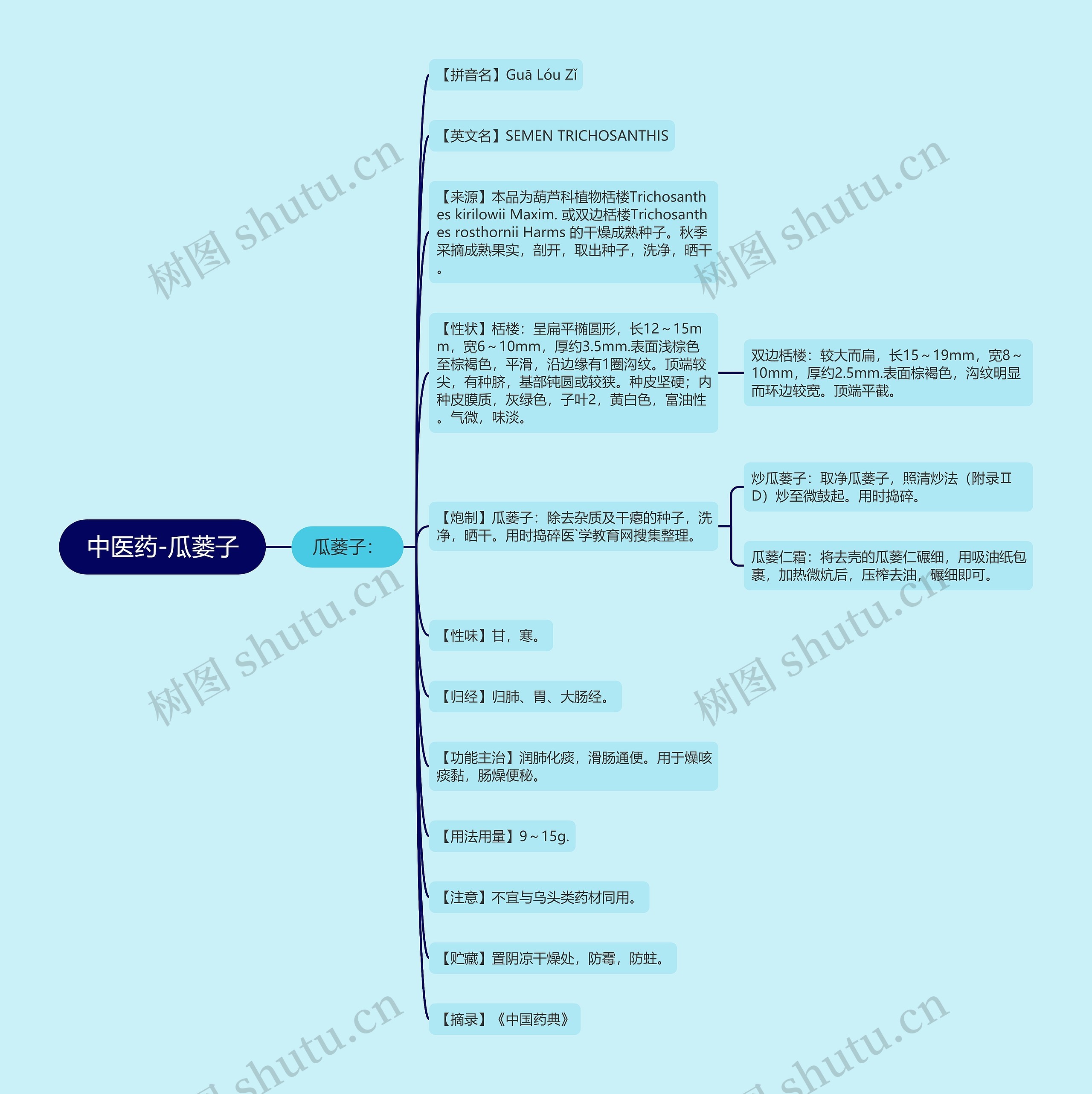 中医药-瓜蒌子思维导图