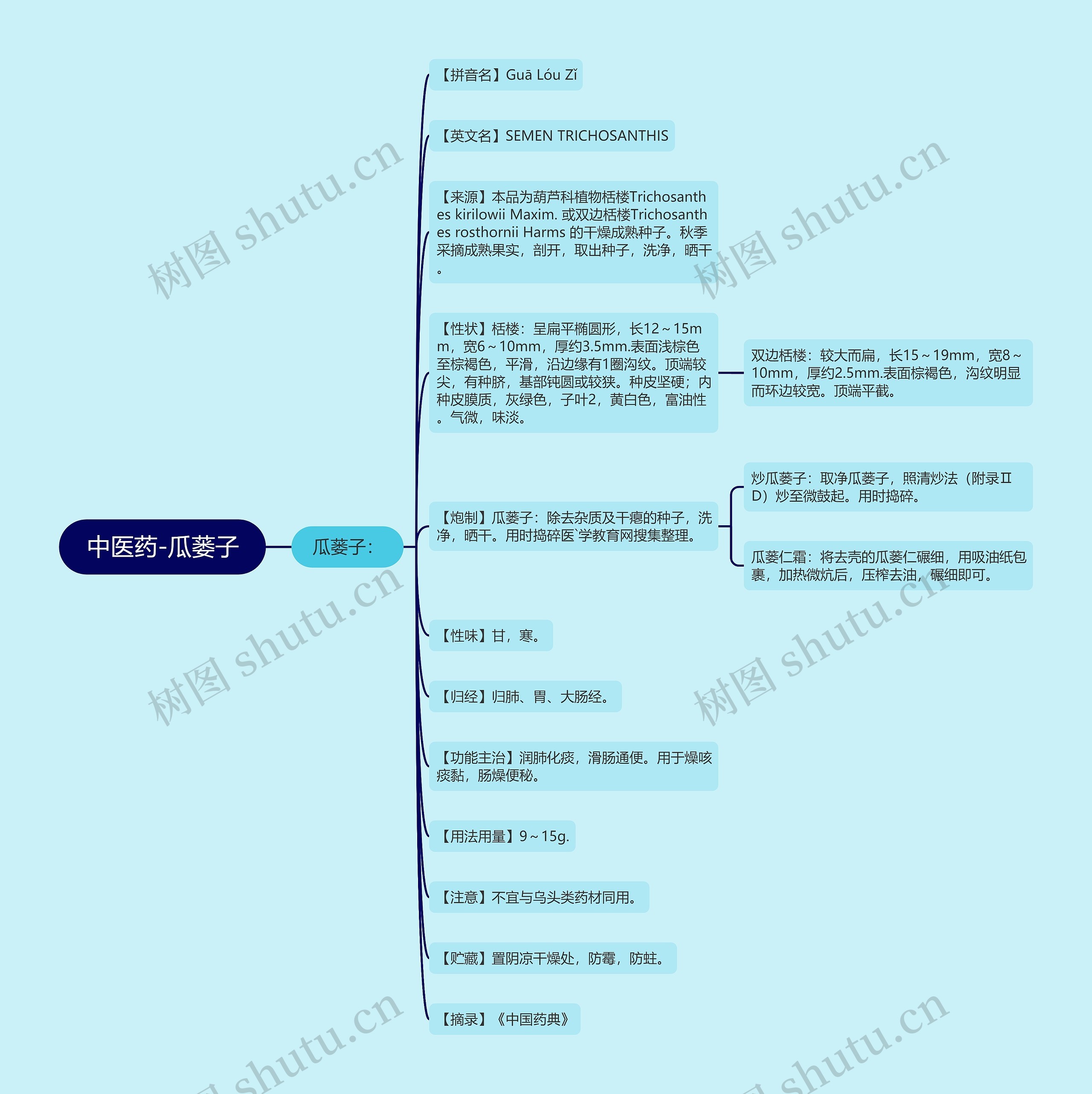 中医药-瓜蒌子 中医药-瓜蒌子