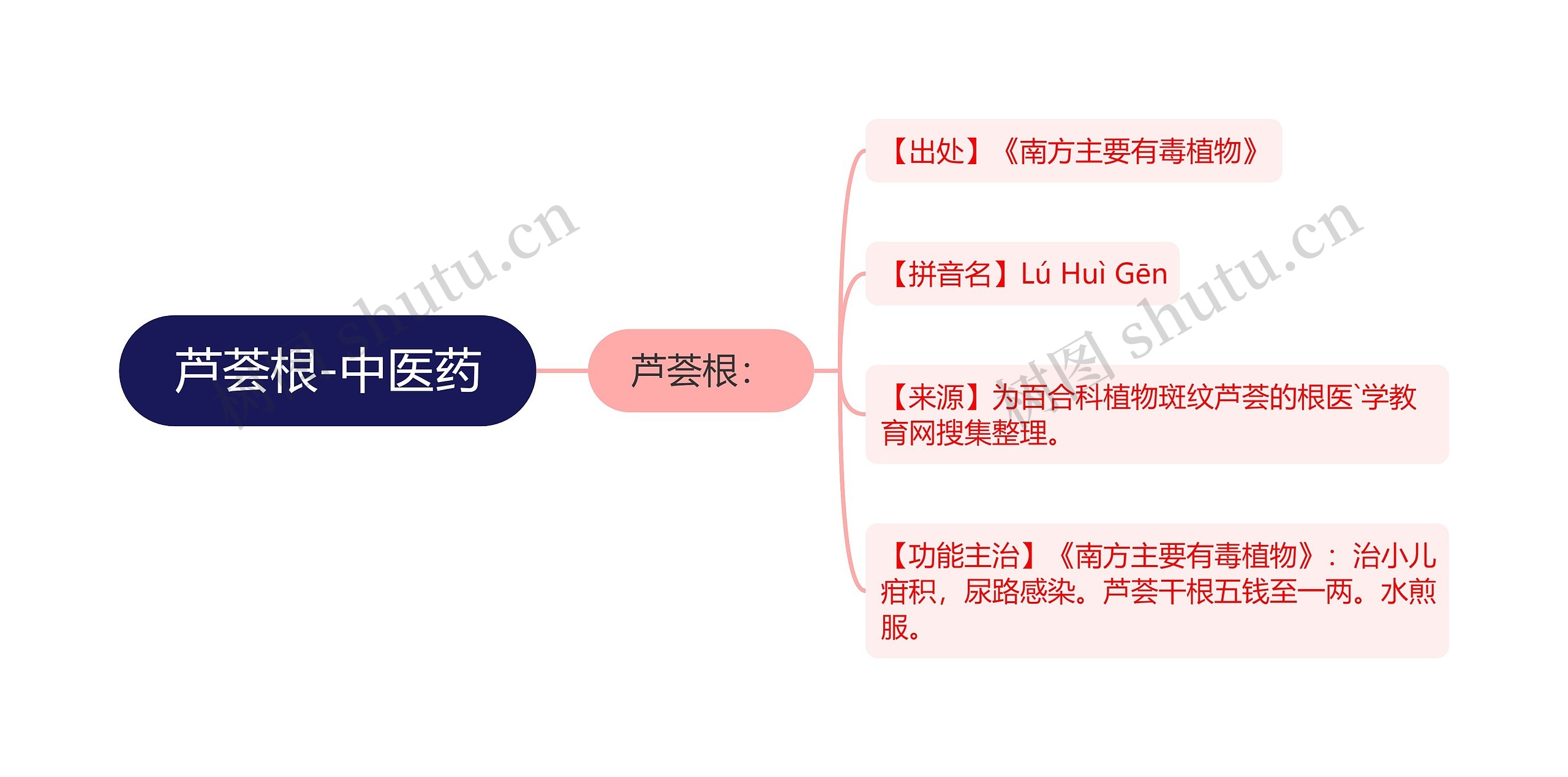 芦荟根-中医药思维导图