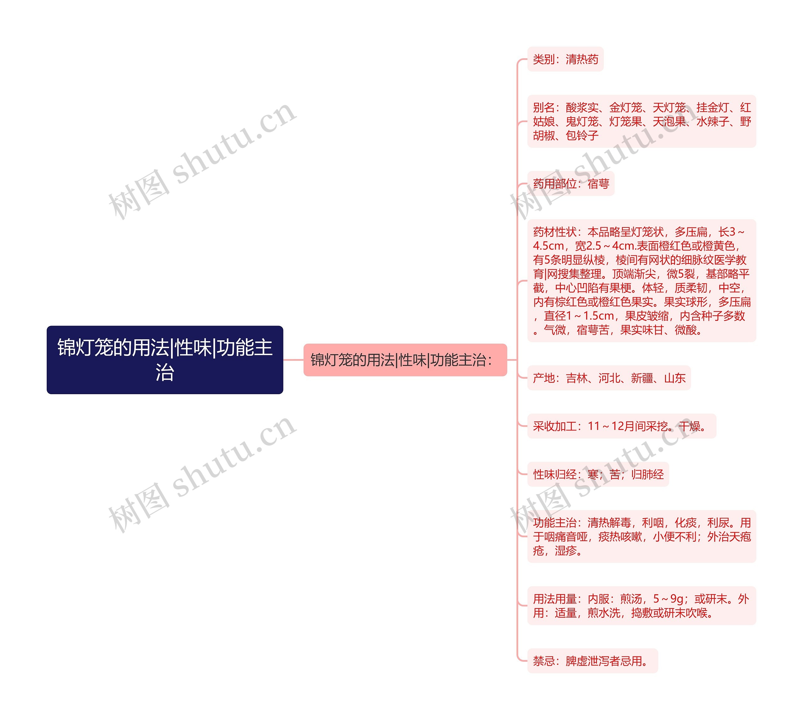 锦灯笼的用法|性味|功能主治