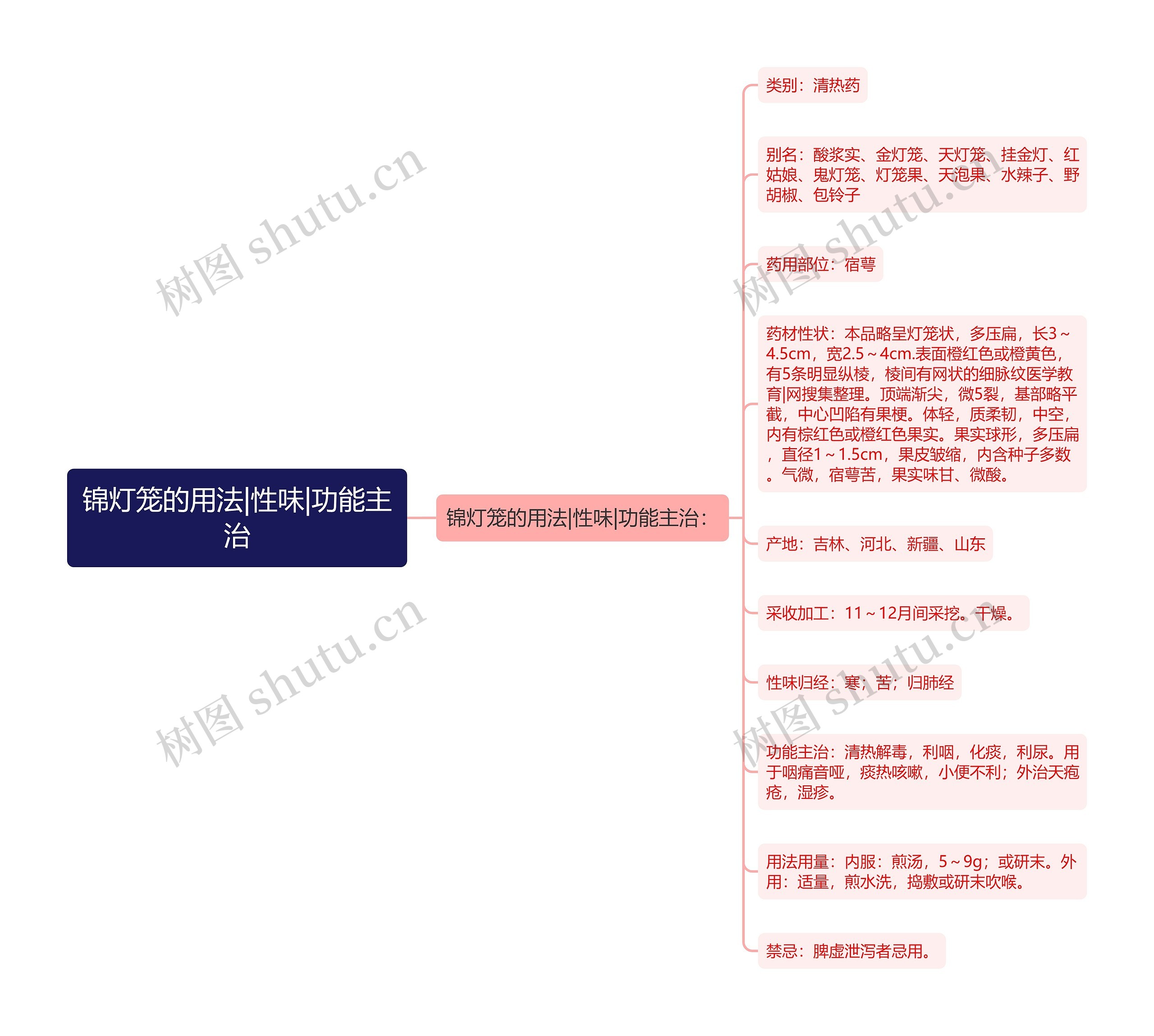 锦灯笼的用法|性味|功能主治 锦灯笼的用法|性味|功能主治