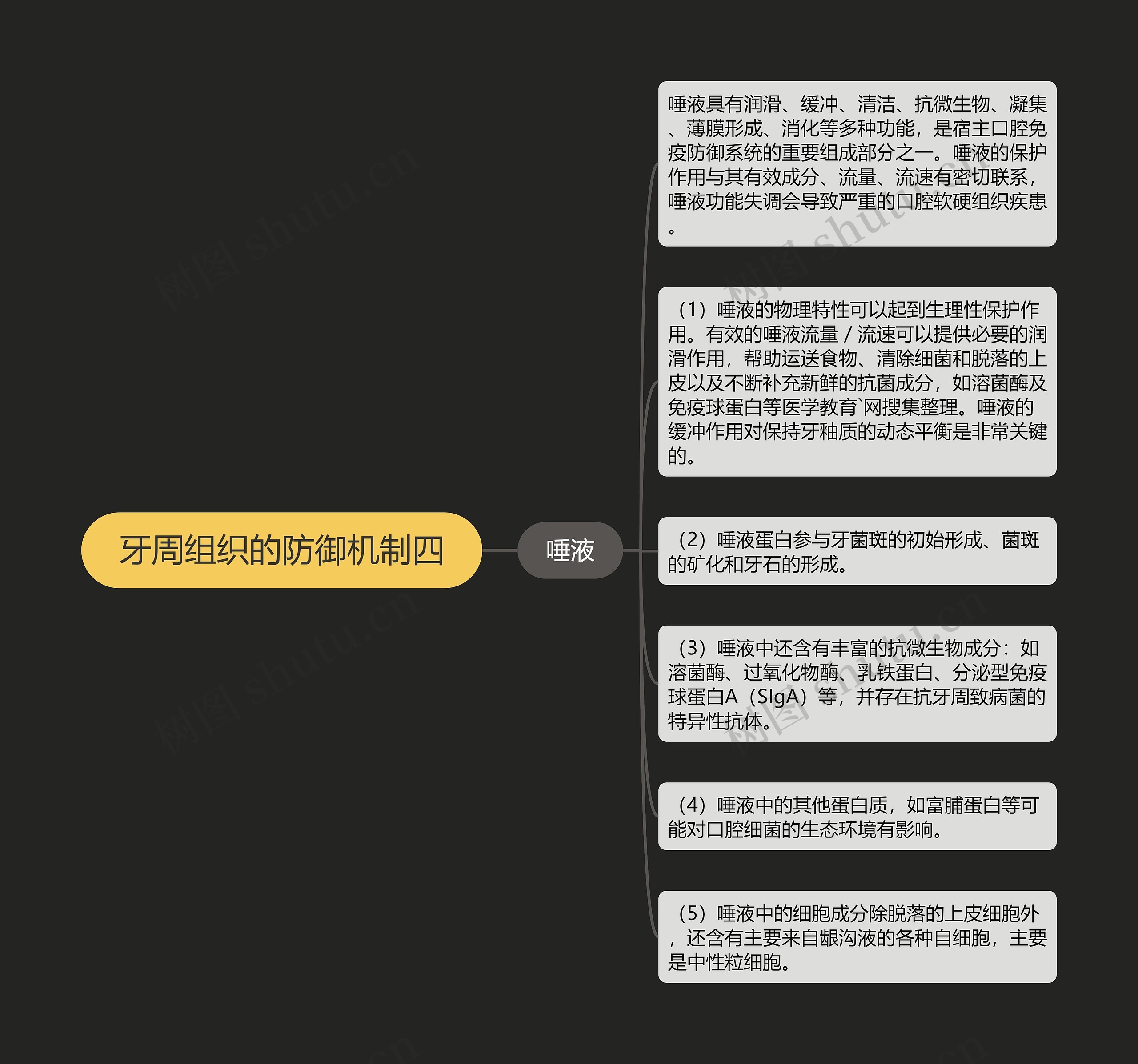 牙周组织的防御机制四 牙周组织的防御机制四