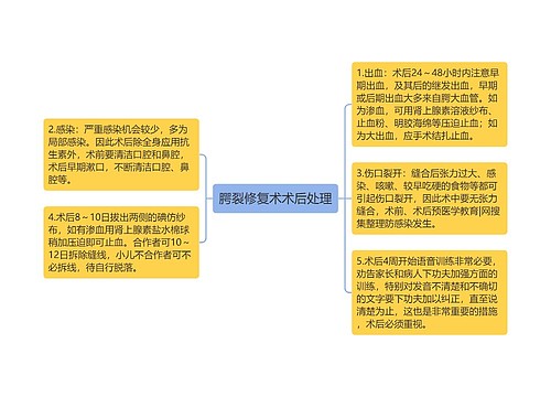 腭裂修复术术后处理