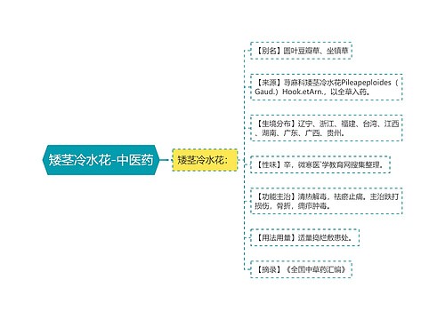 矮茎冷水花-中医药