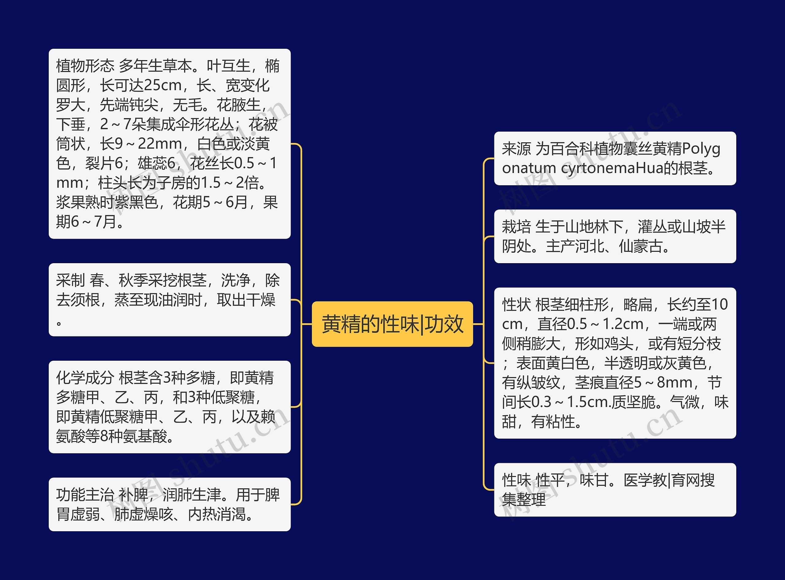 黄精的性味|功效思维导图