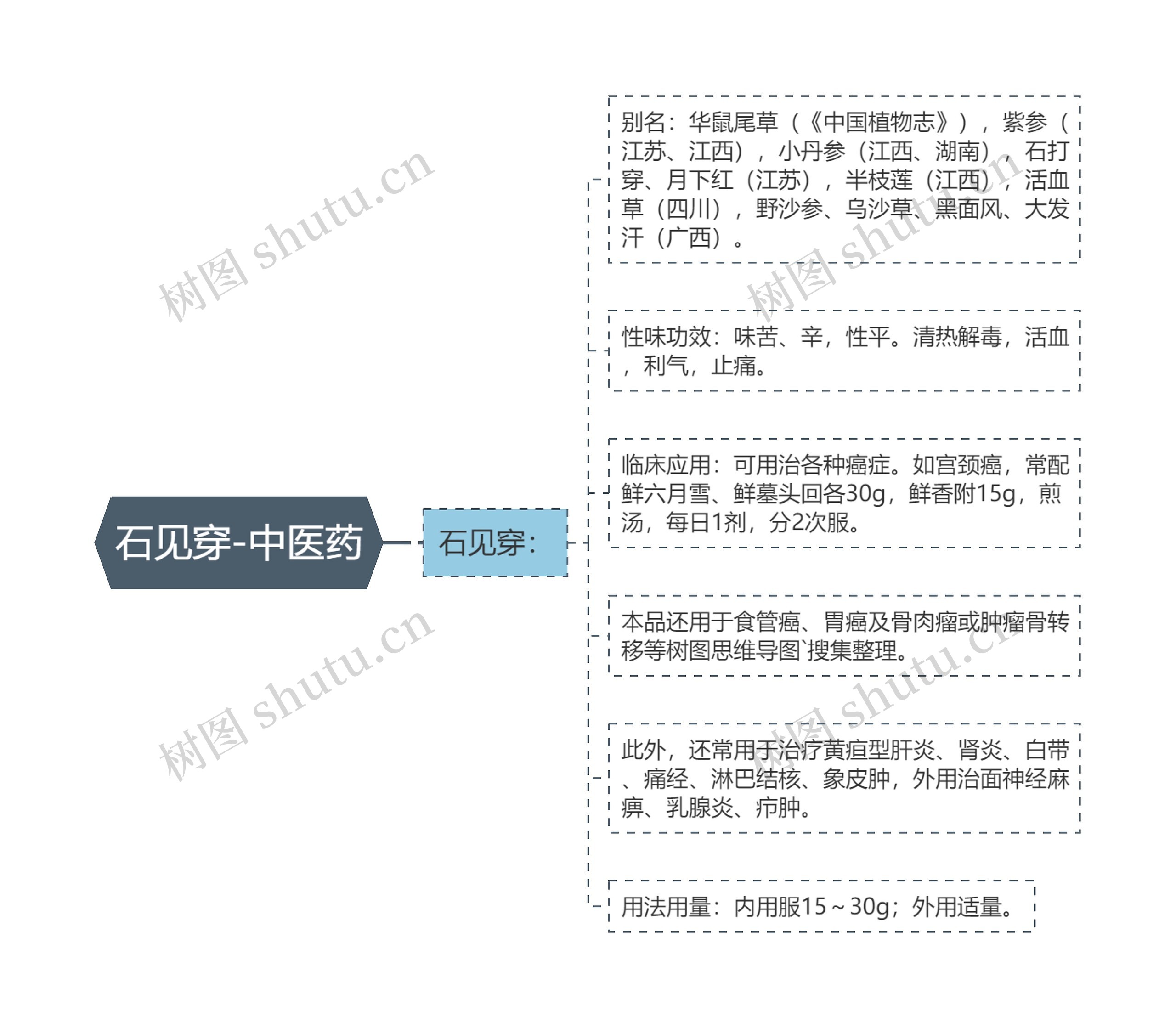 石见穿-中医药思维导图