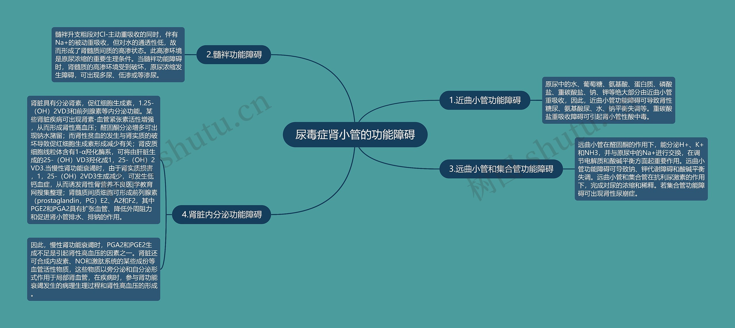 尿毒症肾小管的功能障碍思维导图