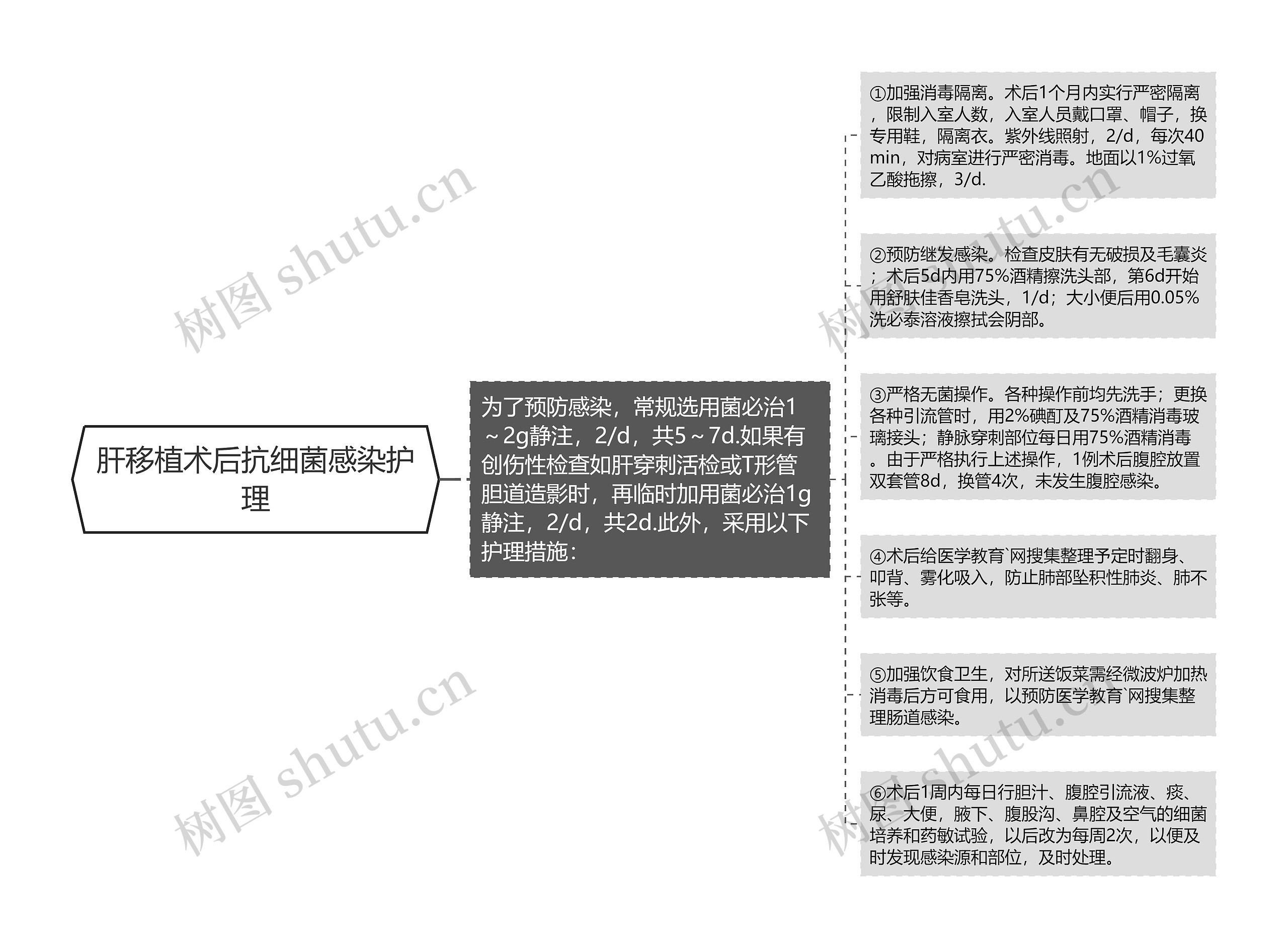 肝移植术后抗细菌感染护理思维导图