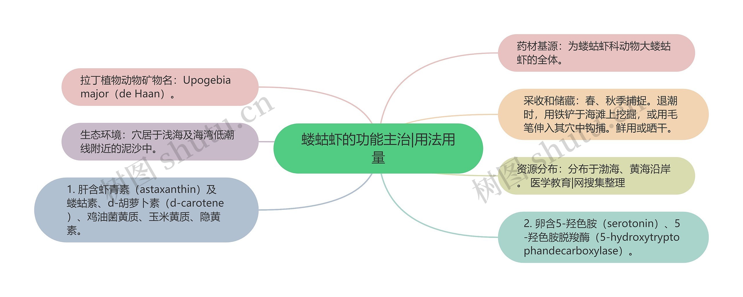 蝼蛄虾的功能主治|用法用量思维导图