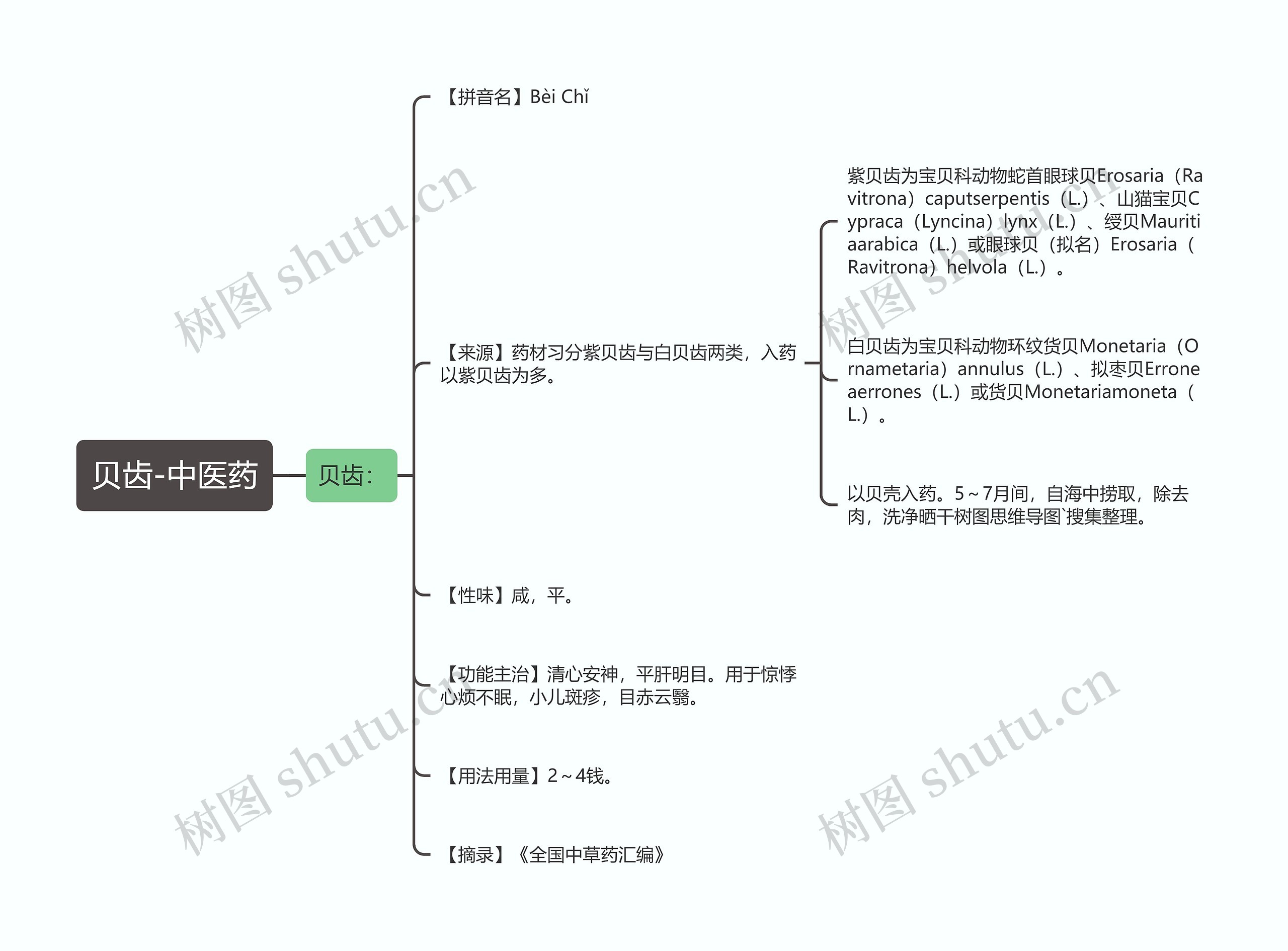 贝齿-中医药思维导图