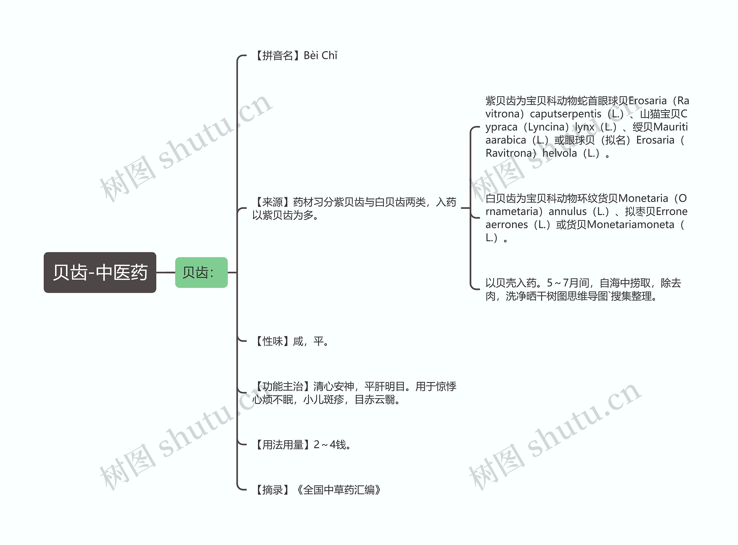 贝齿-中医药 贝齿-中医药