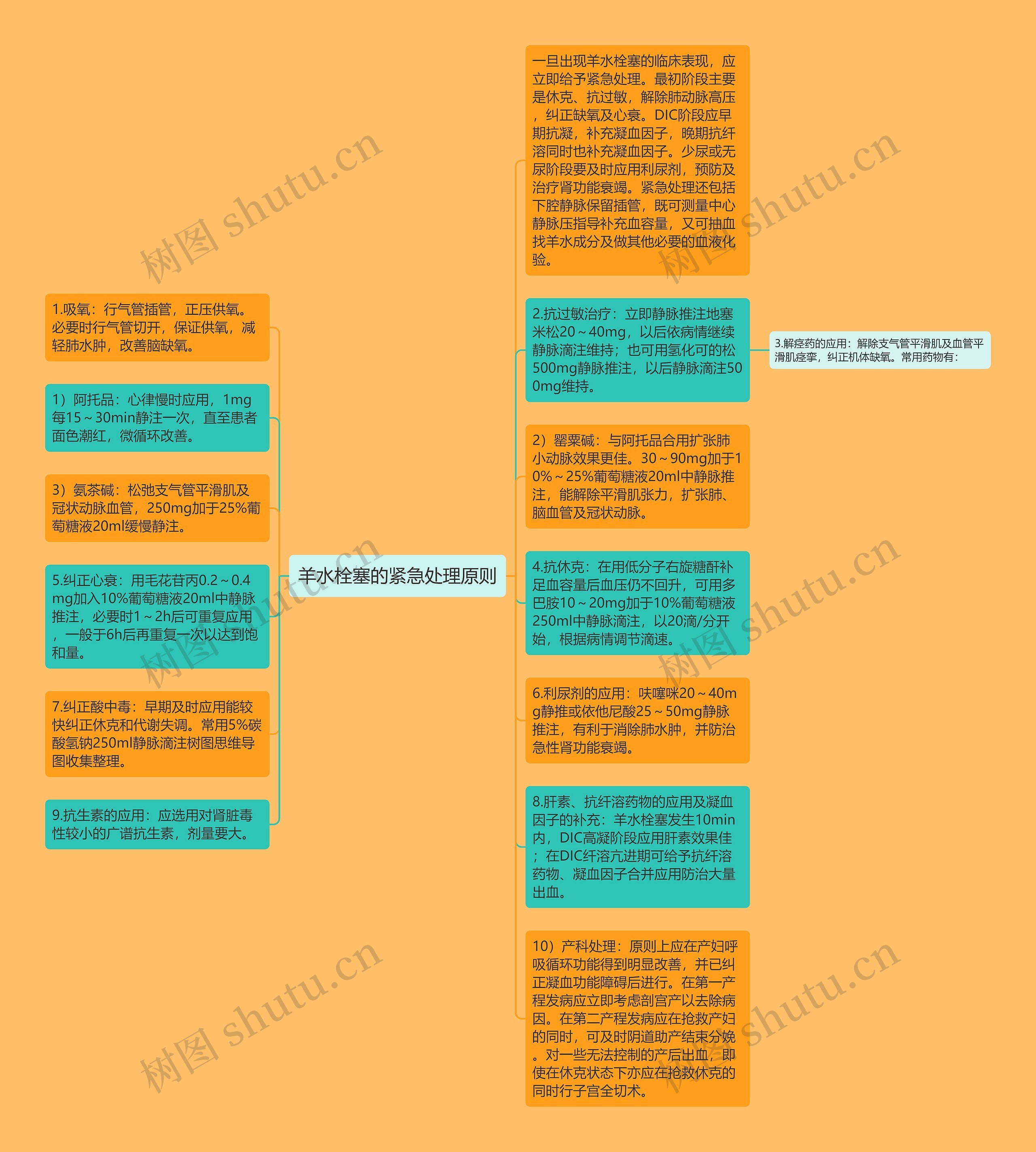 羊水栓塞的紧急处理原则思维导图