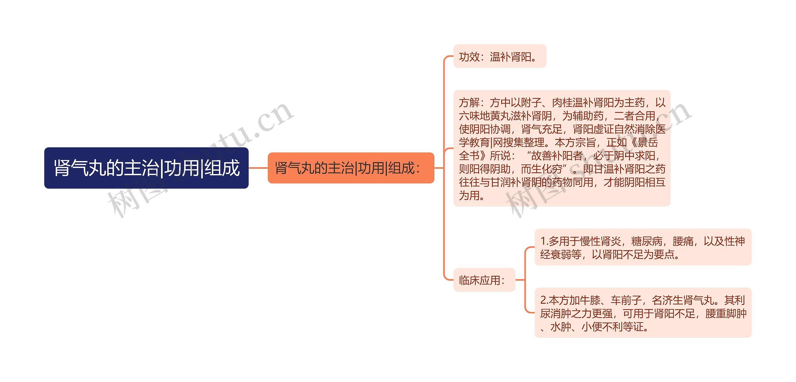 肾气丸的主治|功用|组成思维导图