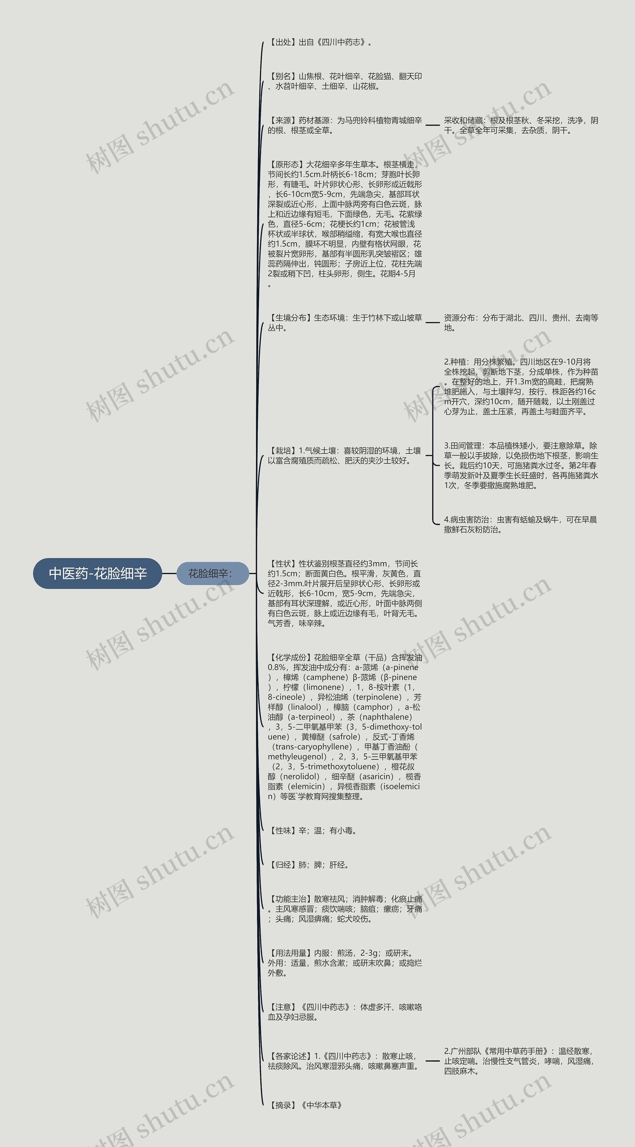 中医药-花脸细辛思维导图