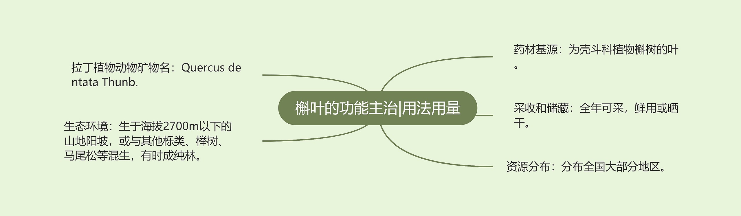 槲叶的功能主治|用法用量