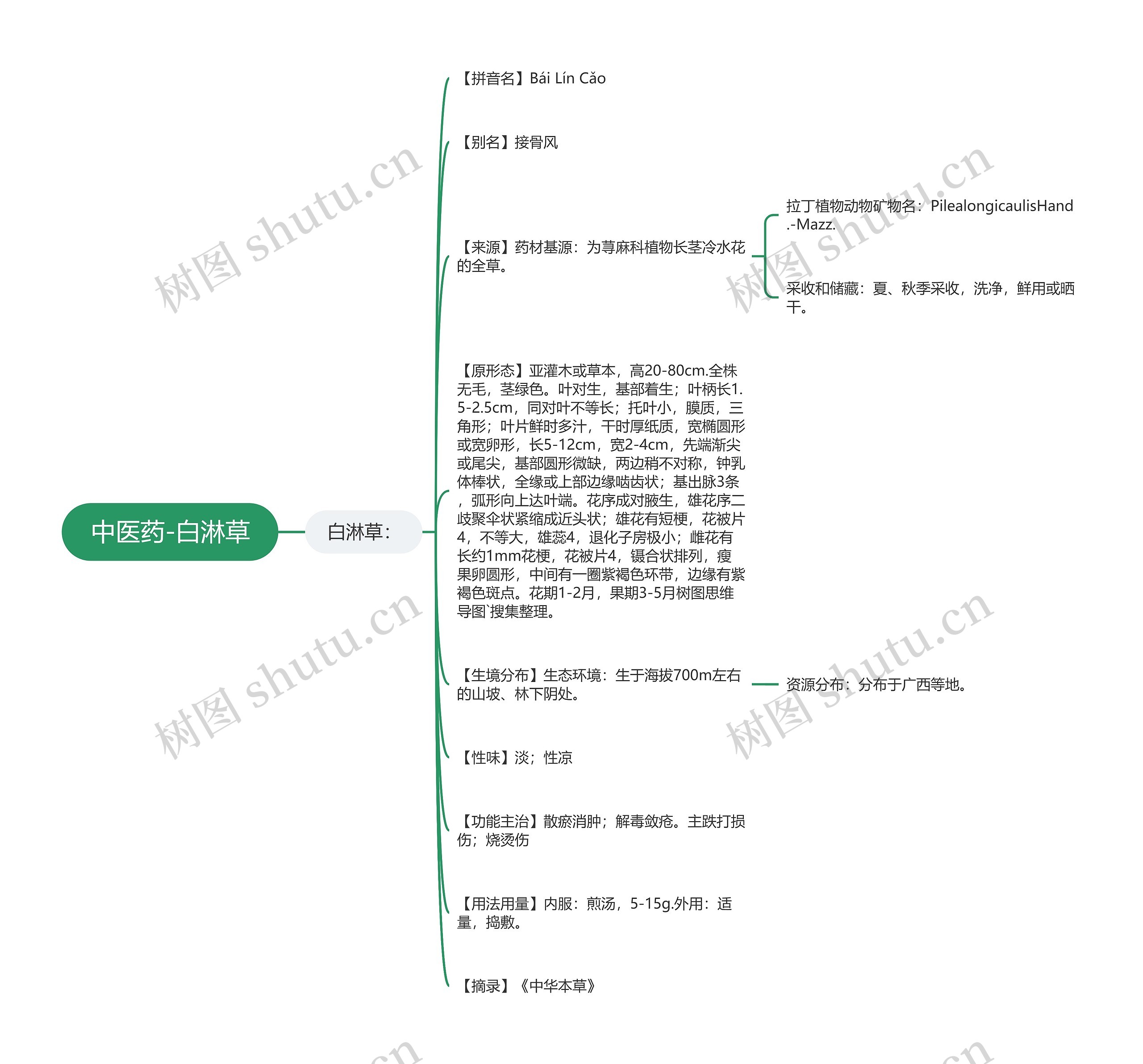 中医药-白淋草思维导图