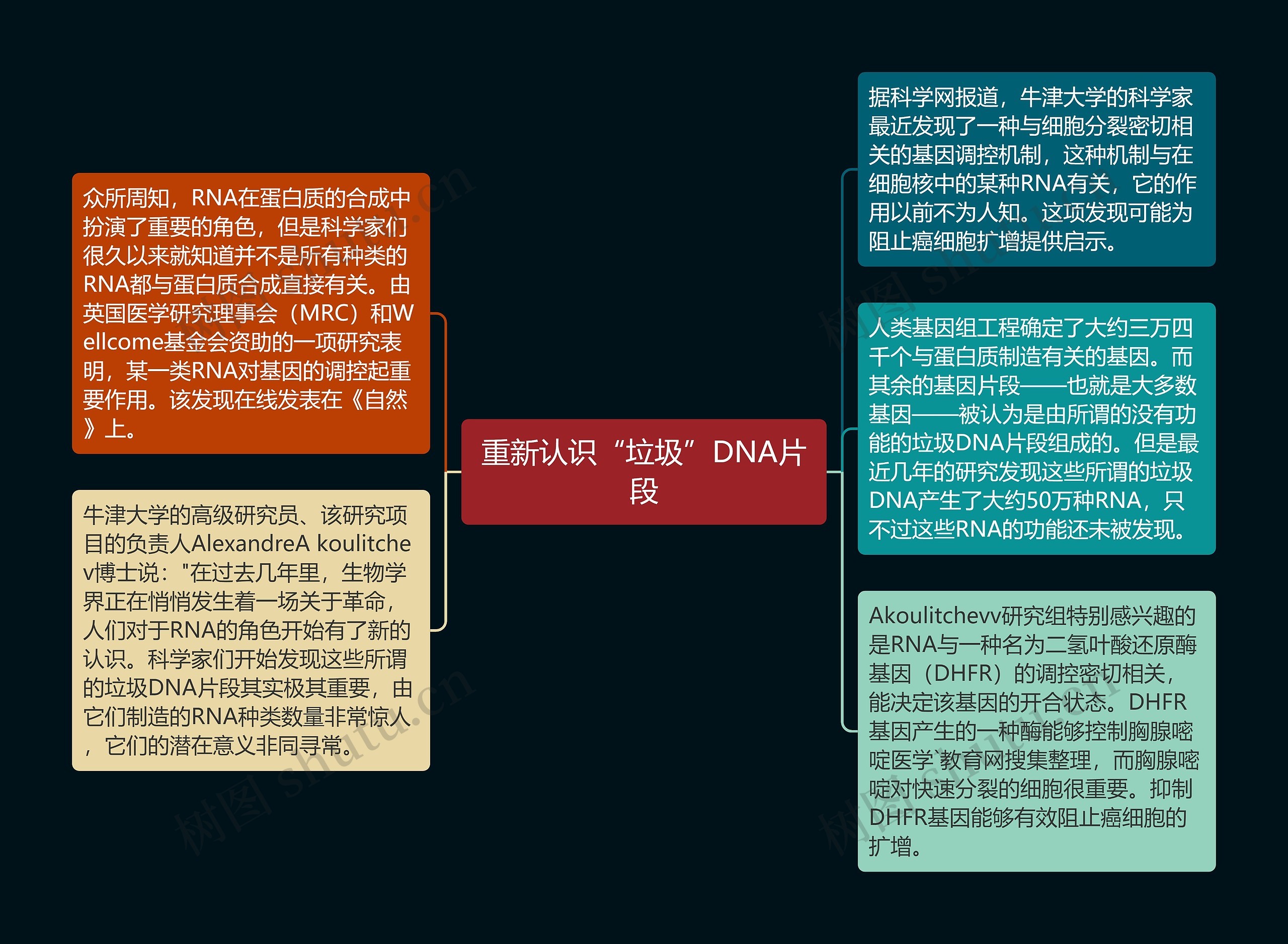 重新认识“垃圾”DNA片段思维导图